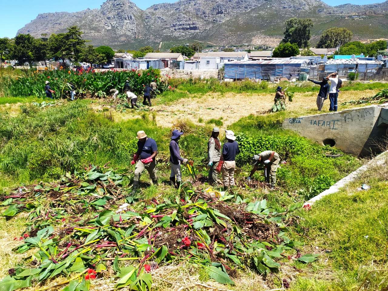 Nature Connect Celebrates World Wetlands Day with “From Wasteland to Westlake Wetlands” Event in Cape Town, photo 5