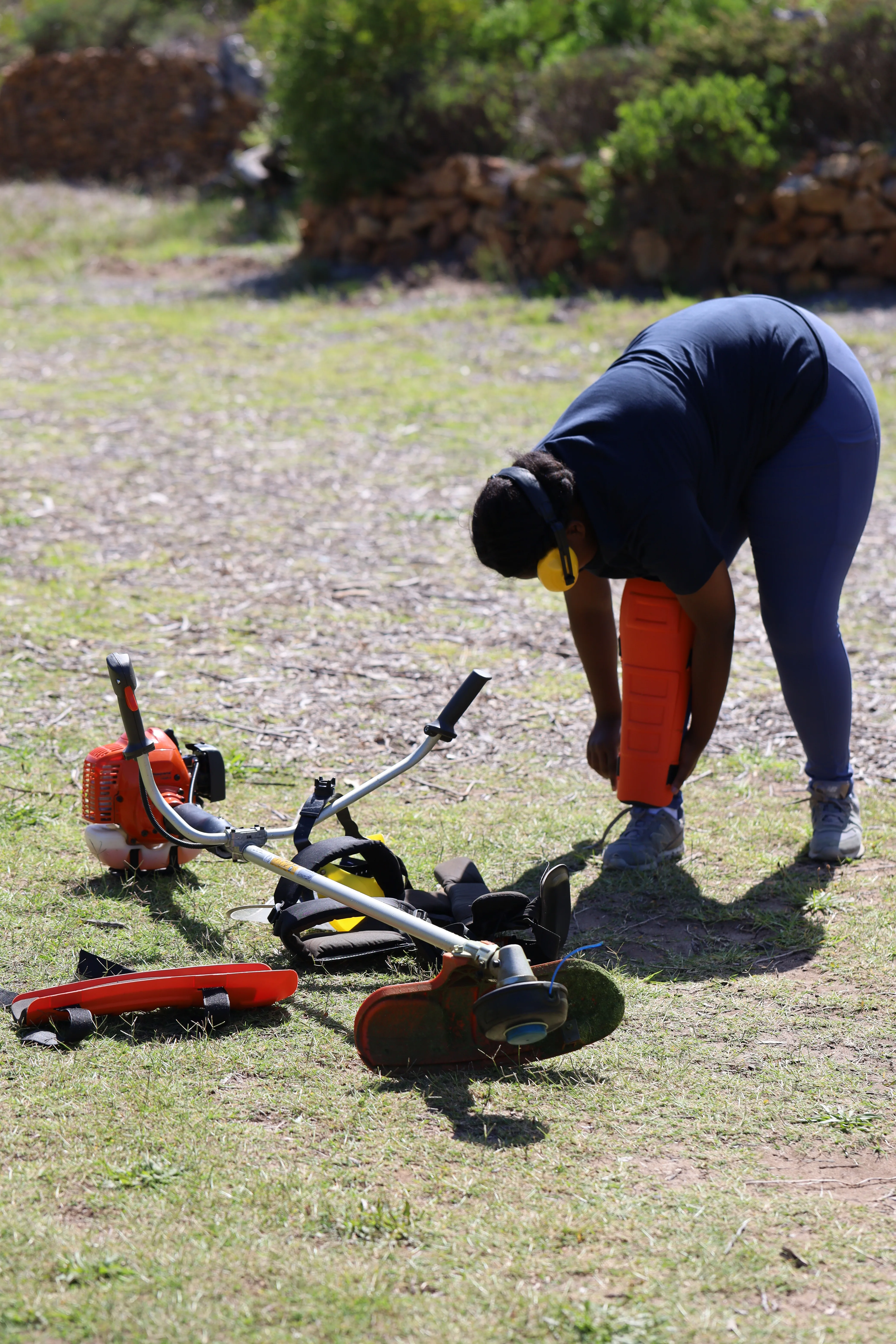 Green Skills for All: Interns Unite to Revive the Glencairn Labyrinth, photo 3