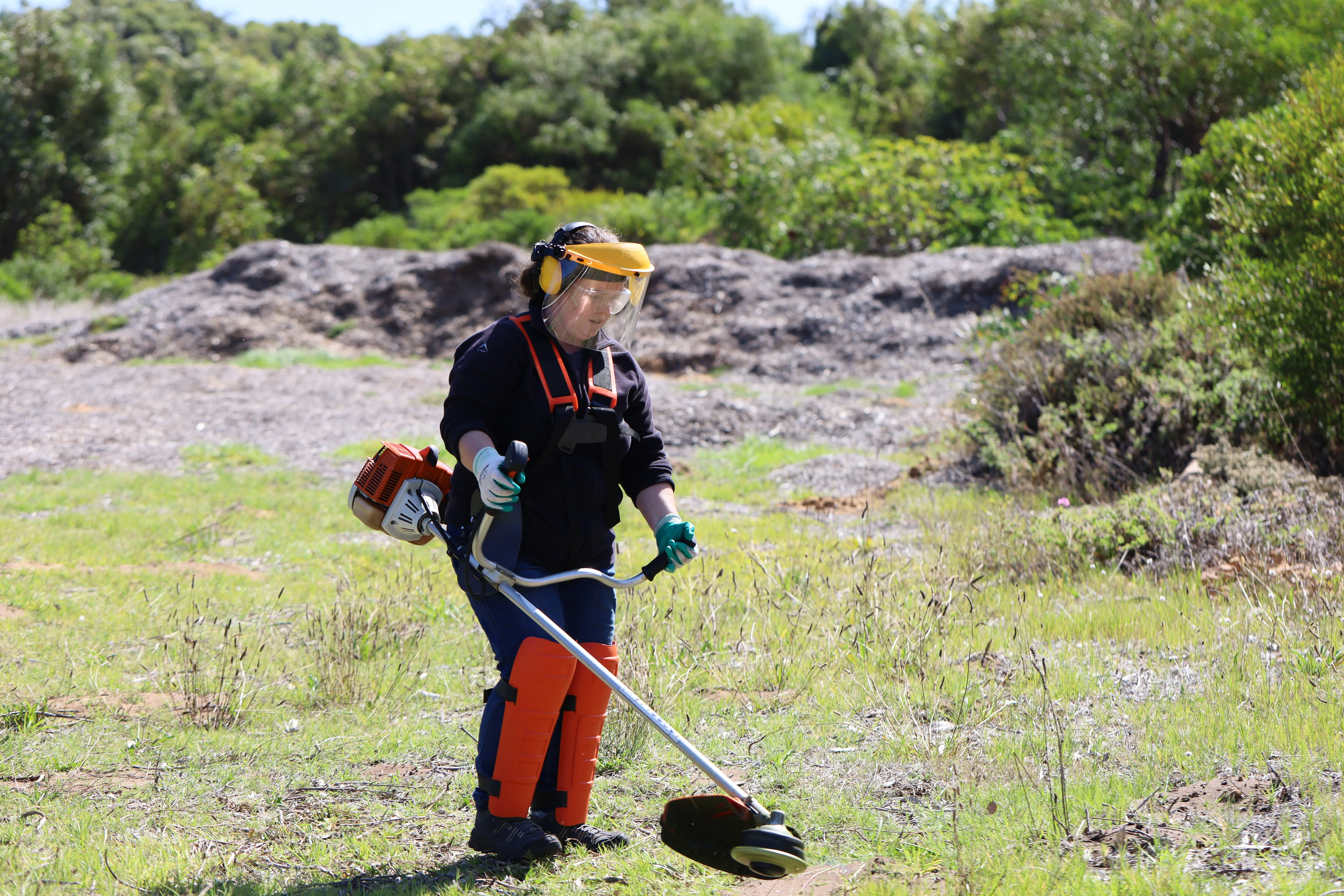 Green Skills for All: Interns Unite to Revive the Glencairn Labyrinth, photo 5