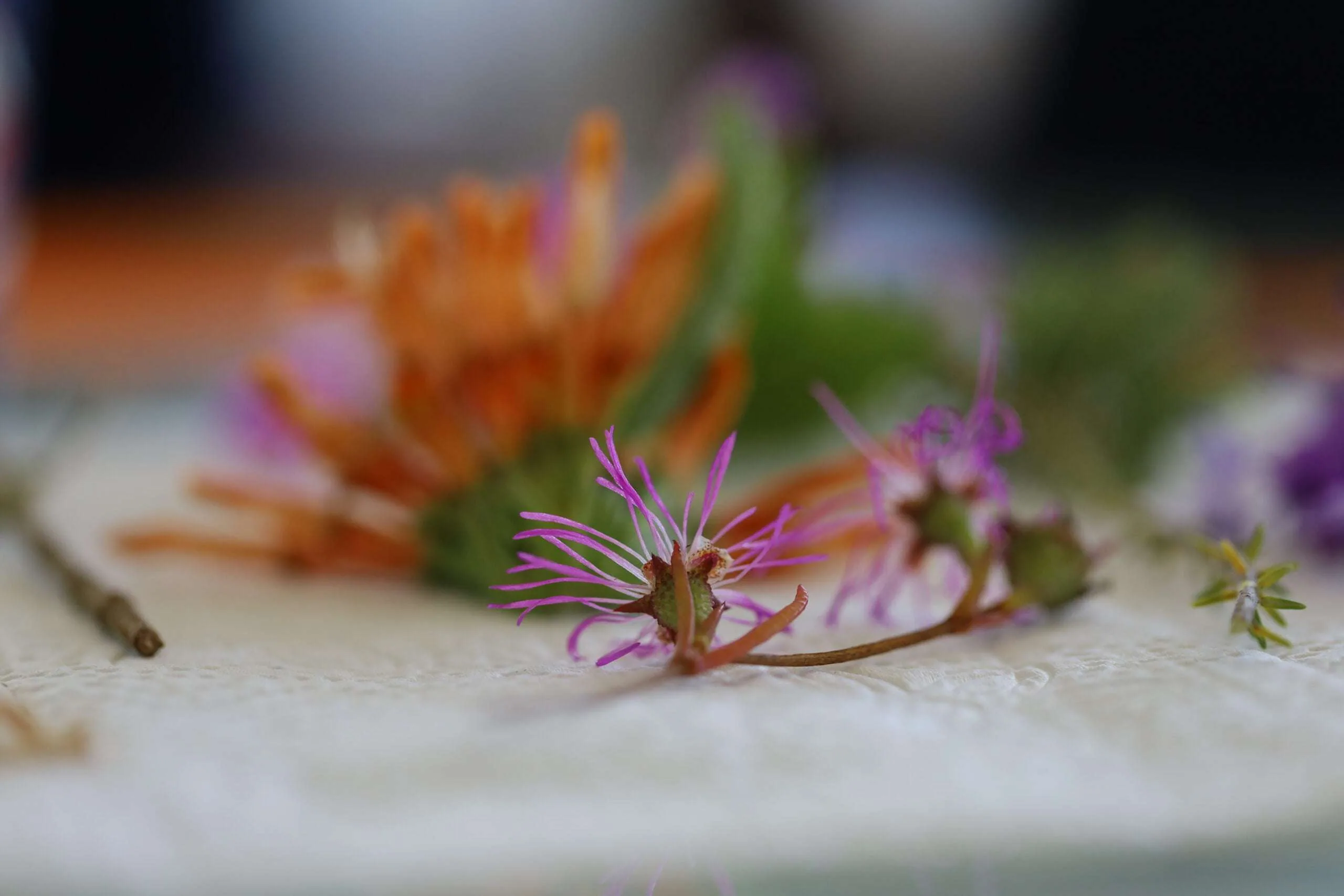 Flower Flair Workshop at Nature Connect, photo 41