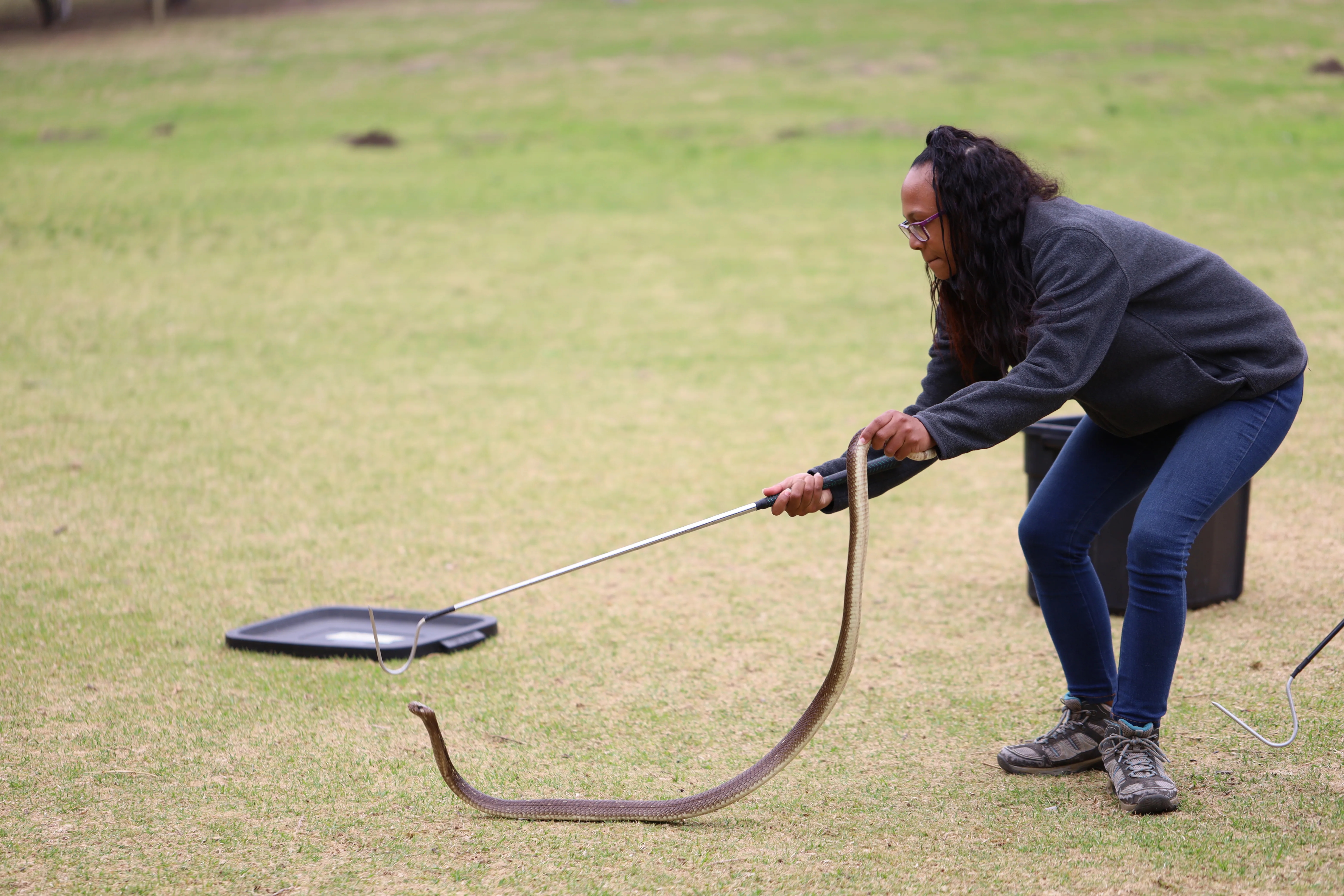 Green Skills for All: Interns Unite to Revive the Glencairn Labyrinth, photo 30