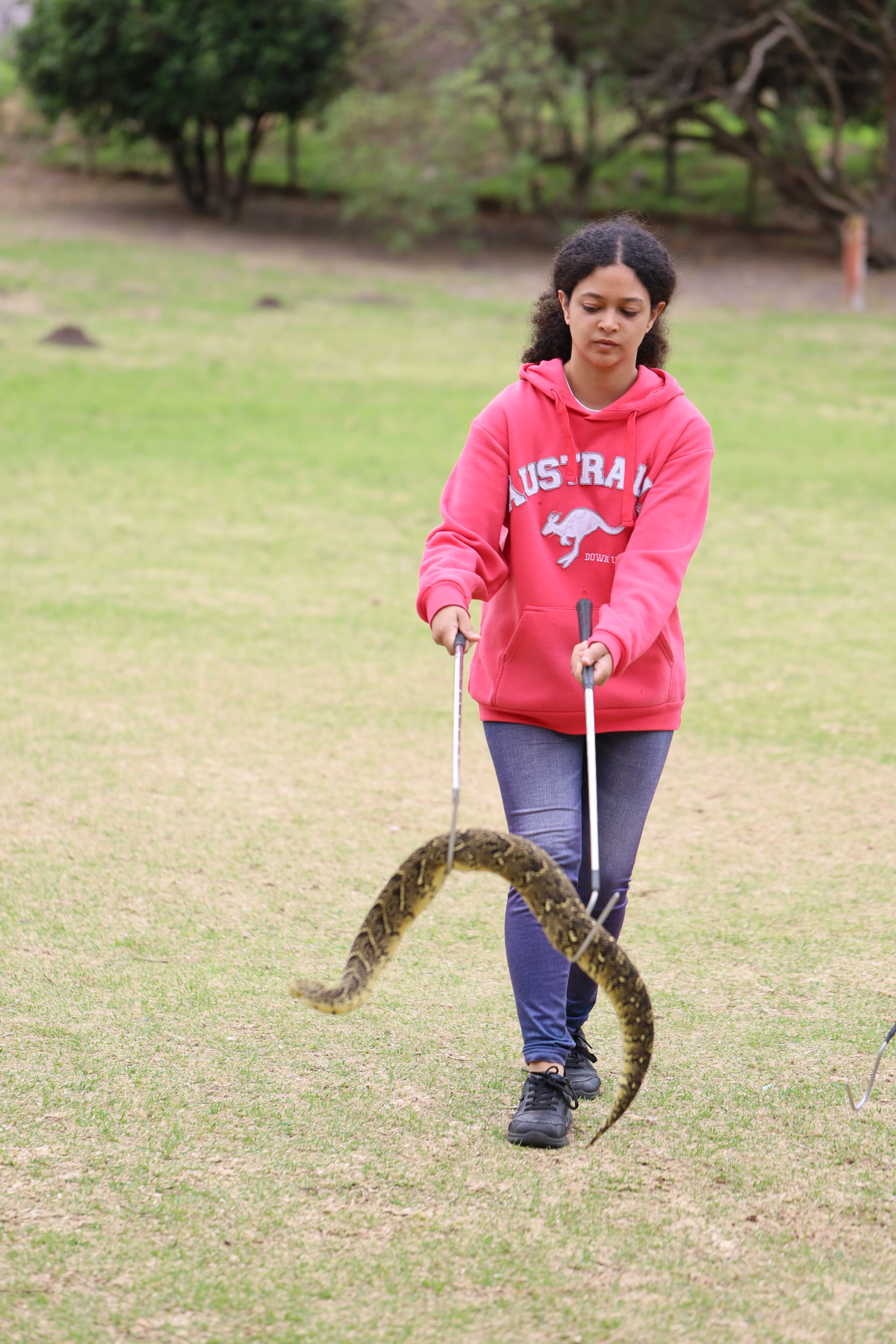 Green Skills for All: Interns Unite to Revive the Glencairn Labyrinth, photo 31