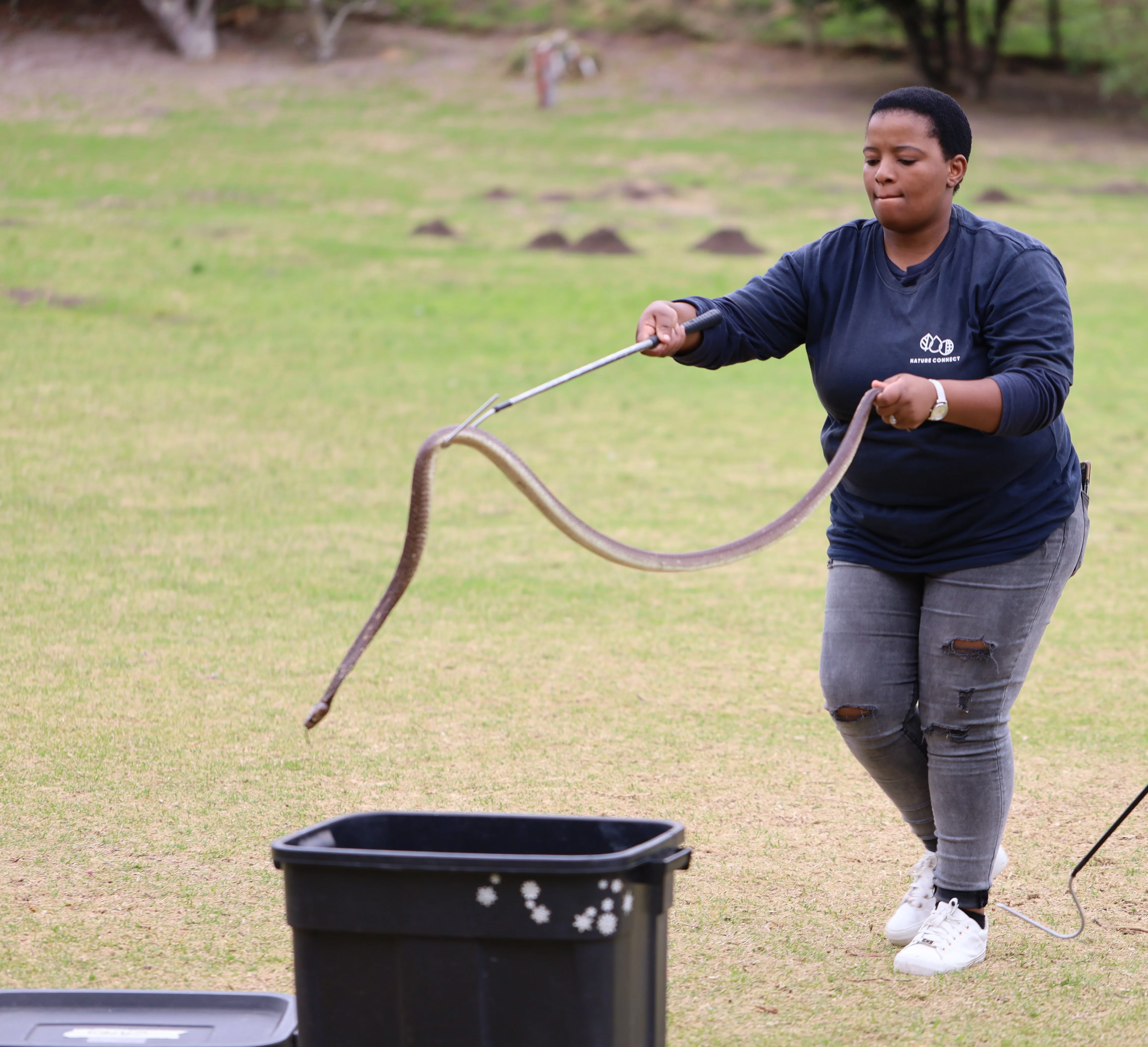 Green Skills for All: Interns Unite to Revive the Glencairn Labyrinth, photo 43