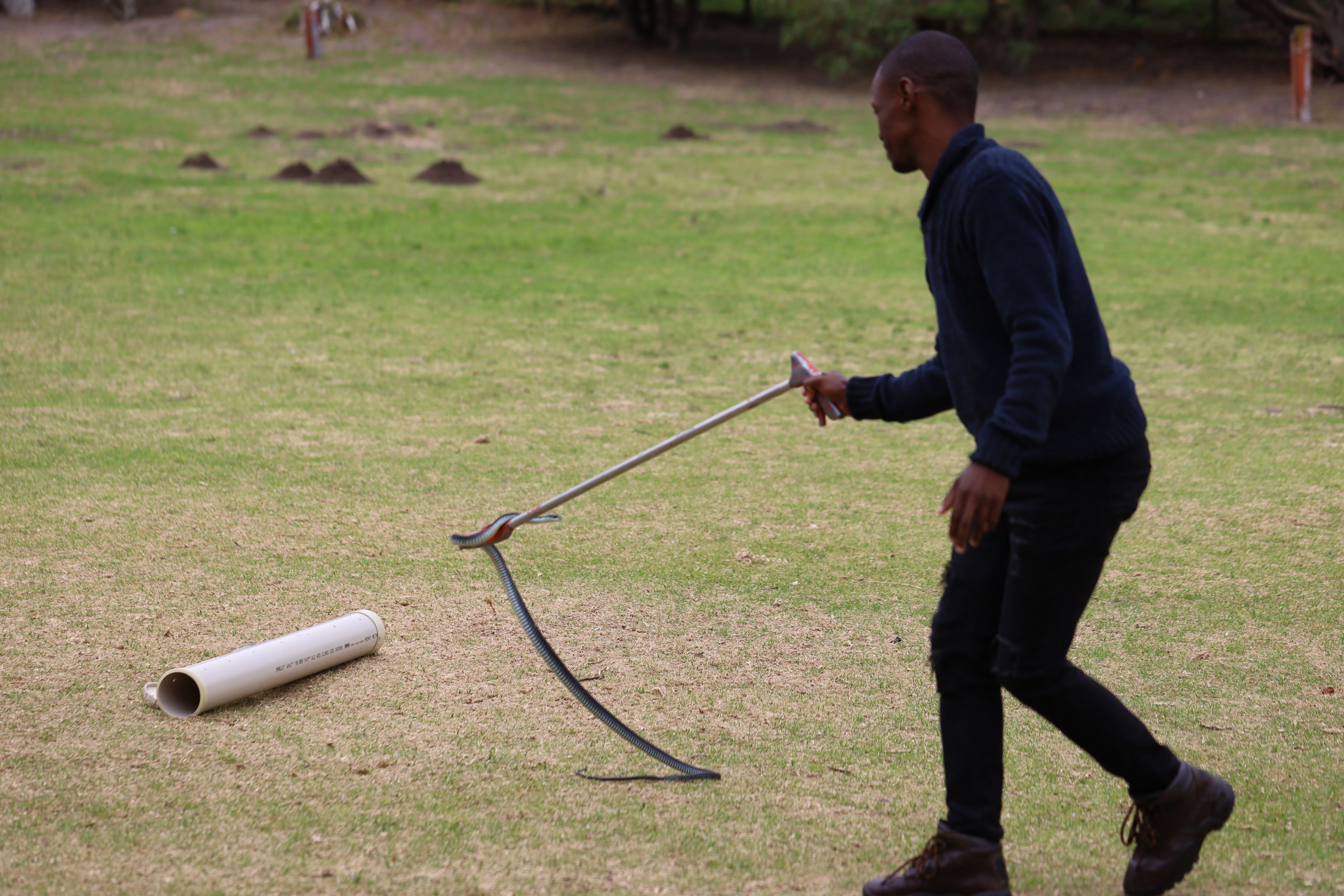 Green Skills for All: Interns Unite to Revive the Glencairn Labyrinth, photo 45
