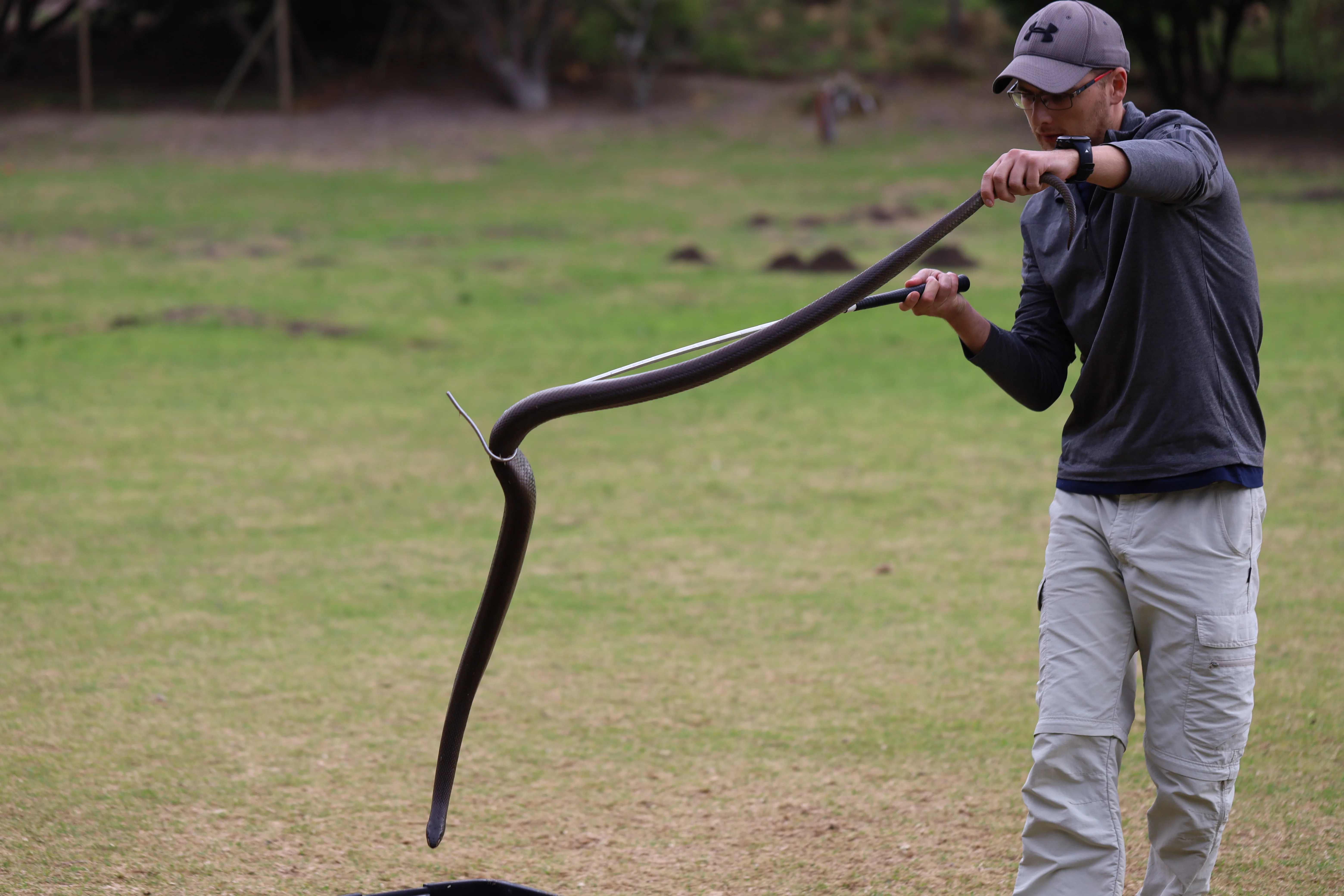 Green Skills for All: Interns Unite to Revive the Glencairn Labyrinth, photo 41