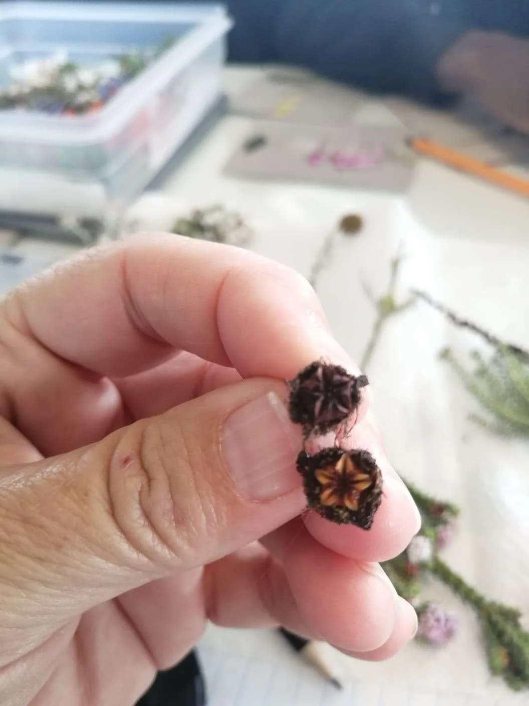 Flower Flair Workshop at Nature Connect, photo 2