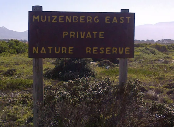 Fascinating Finds during Muizenberg East Cluster Night Count