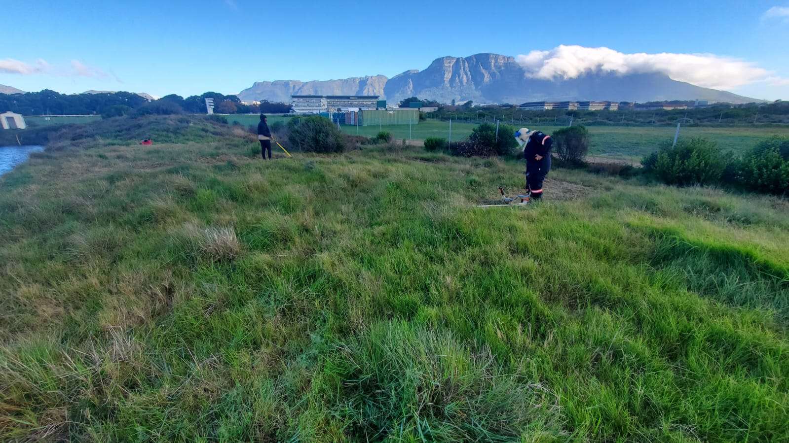 Kenilworth Racecourse Conservation Area Restores Sand Plain Fynbos for Make A Difference Week with SER Africa