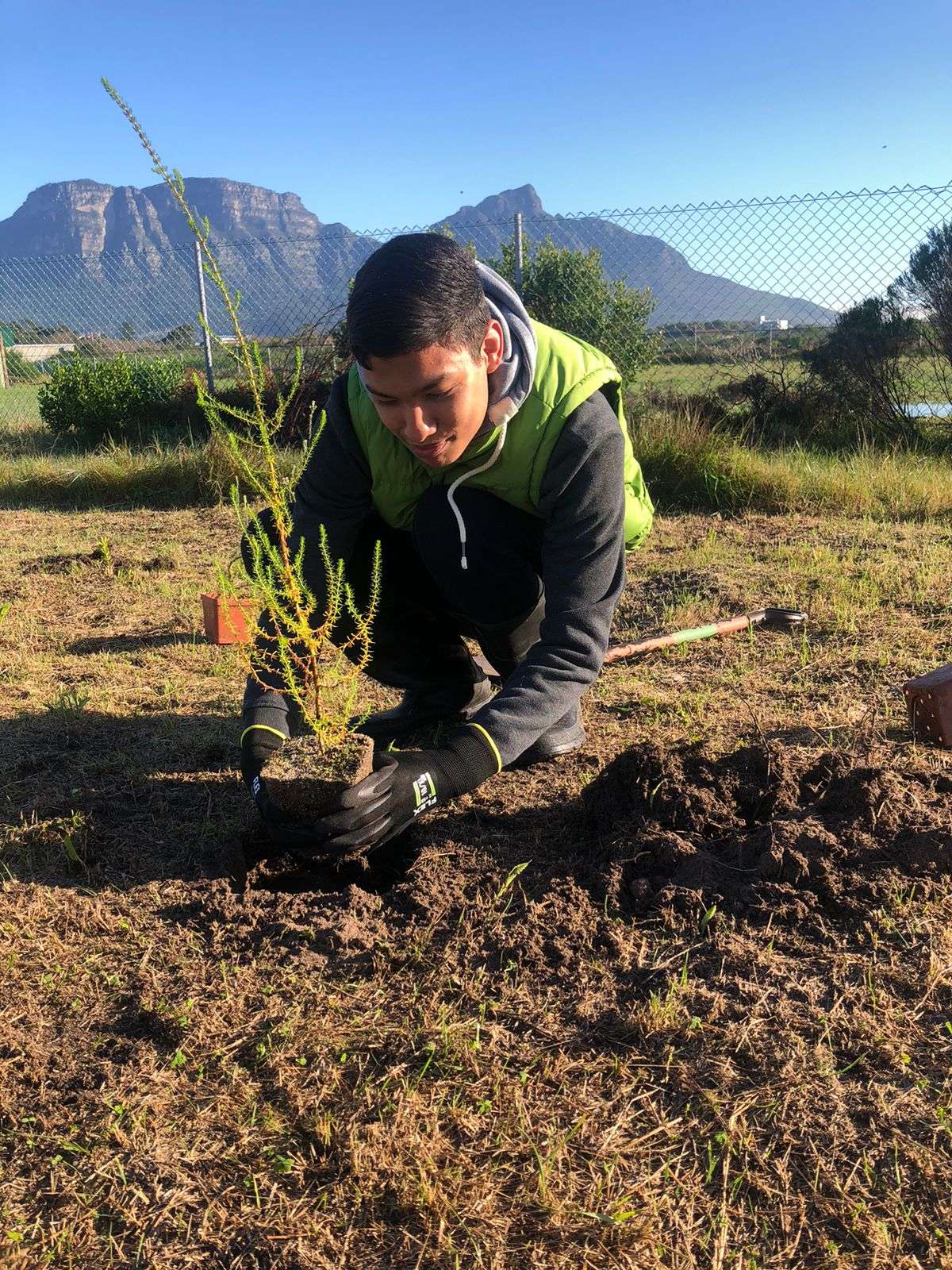 Kenilworth Racecourse Conservation Area Restores Sand Plain Fynbos for Make A Difference Week with SER Africa, photo 6