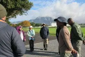 Biodiversity in the City – The City Nature Challenge: Cape Town 2023, photo 5