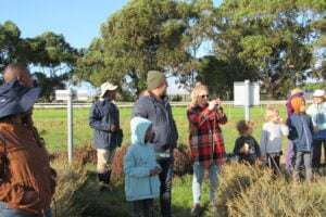 Biodiversity in the City – The City Nature Challenge: Cape Town 2023, photo 6