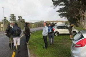 Biodiversity in the City – The City Nature Challenge: Cape Town 2023, photo 8
