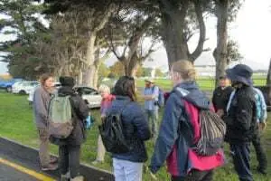 Biodiversity in the City – The City Nature Challenge: Cape Town 2023, photo 9