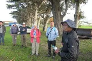 Biodiversity in the City – The City Nature Challenge: Cape Town 2023, photo 10