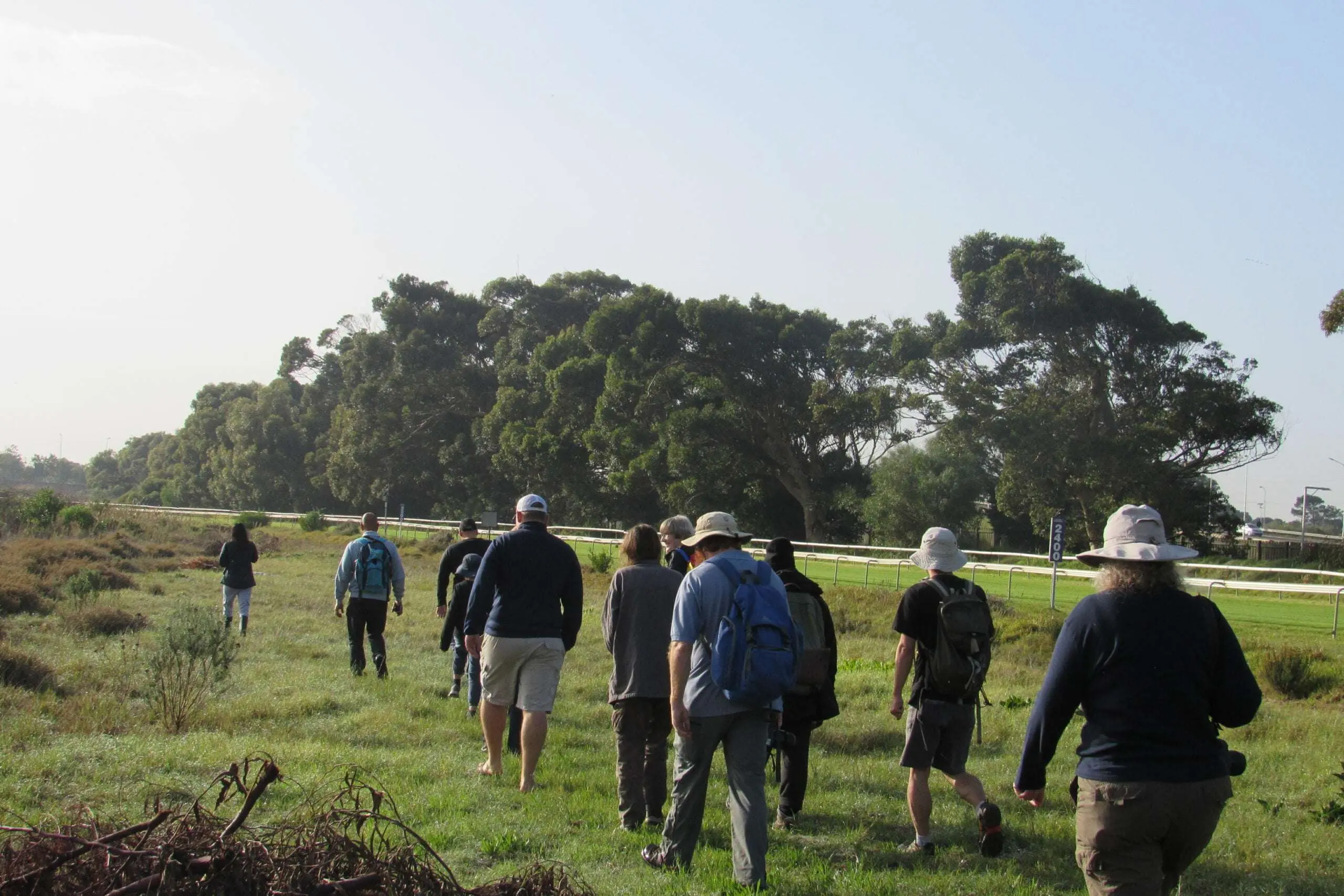 Biodiversity in the City – The City Nature Challenge: Cape Town 2023