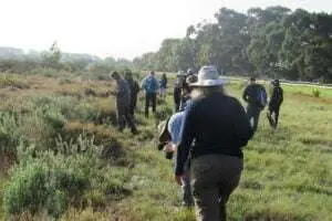 Biodiversity in the City – The City Nature Challenge: Cape Town 2023, photo 11