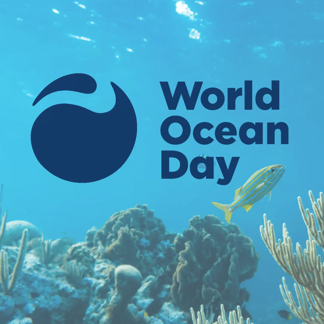 Celebrating World Ocean Day