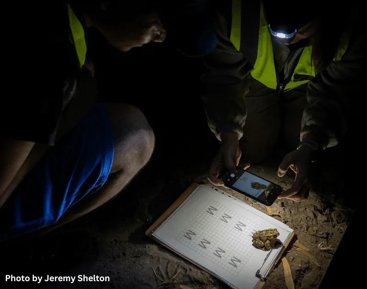 Caught on camera: Nature Connect partners with HENSOLDT