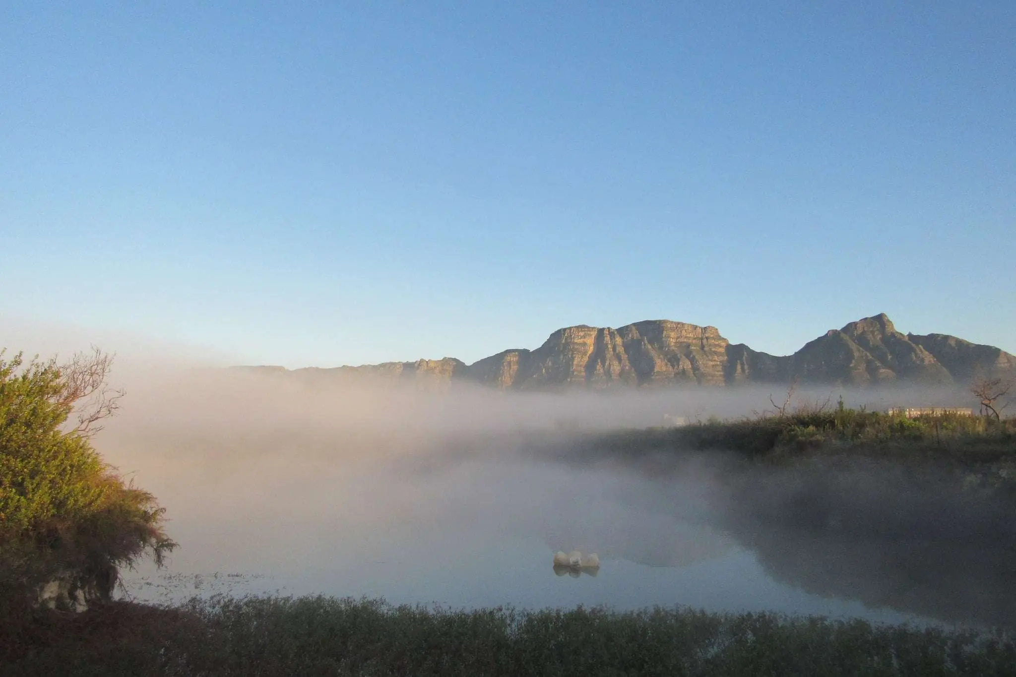 The Role of Tourism in Ecosystem Restoration around Cape Town