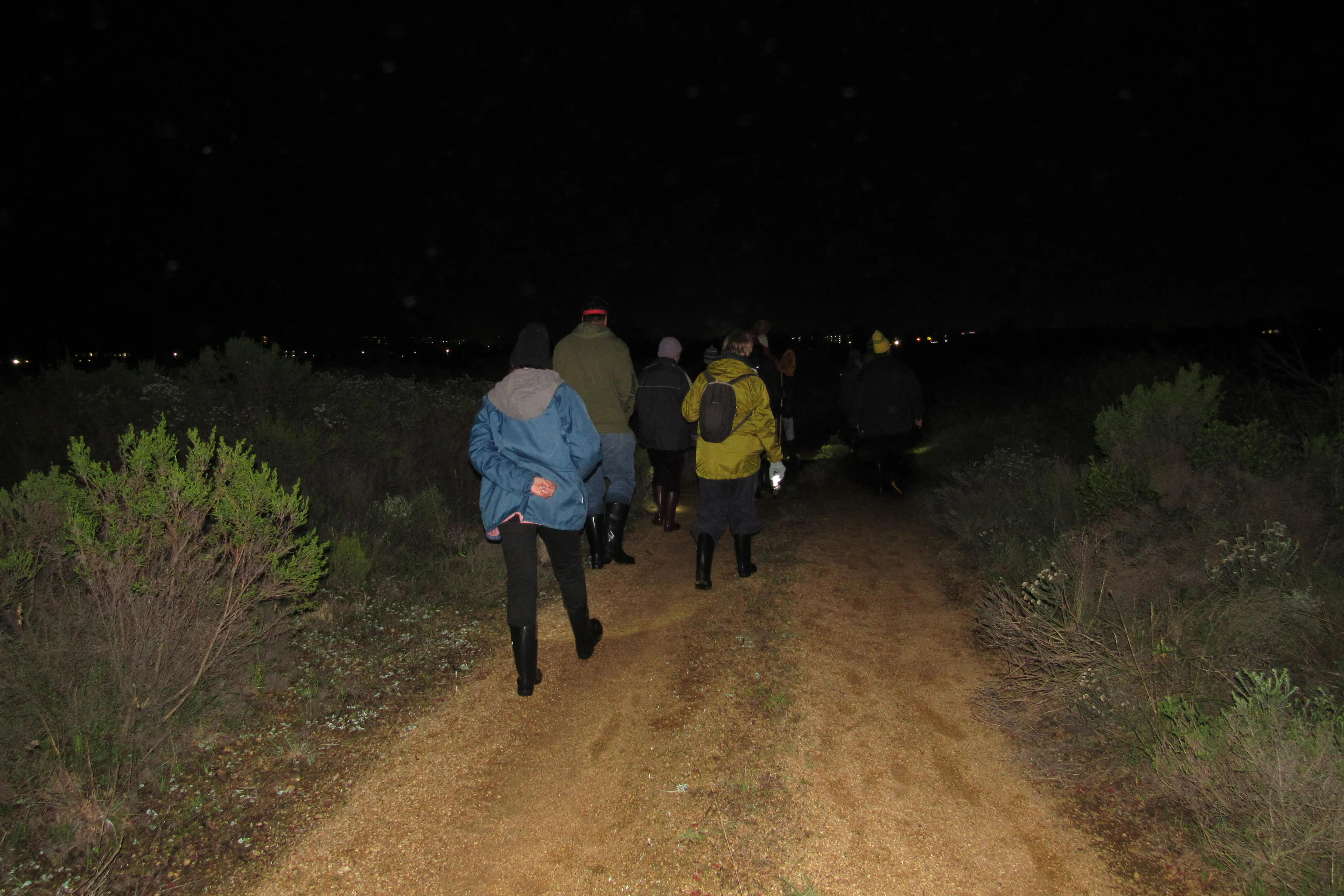 Frog Flair at Kenilworth Racecourse Conservation Area, photo 7