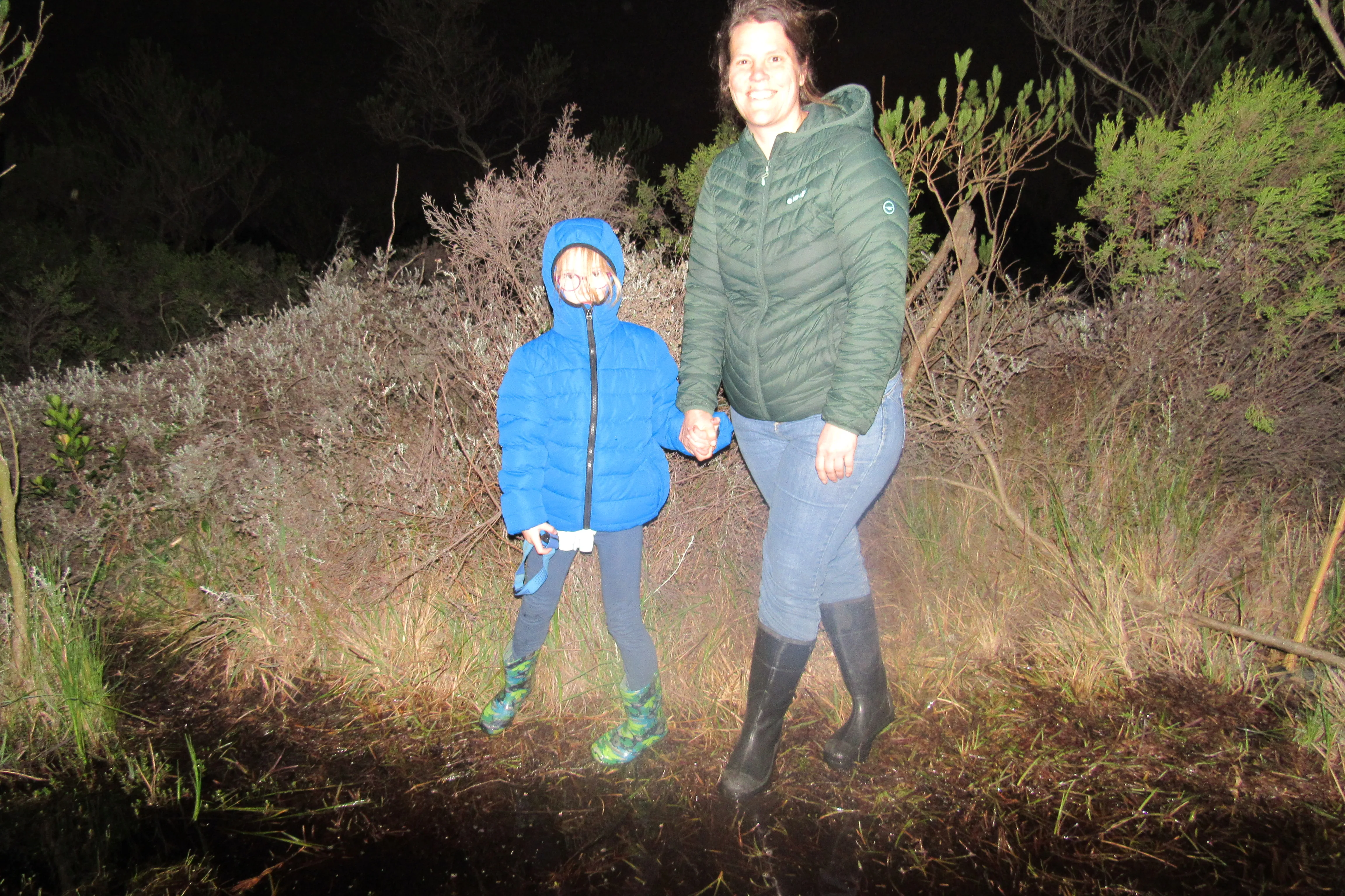 Frog Flair at Kenilworth Racecourse Conservation Area, photo 15