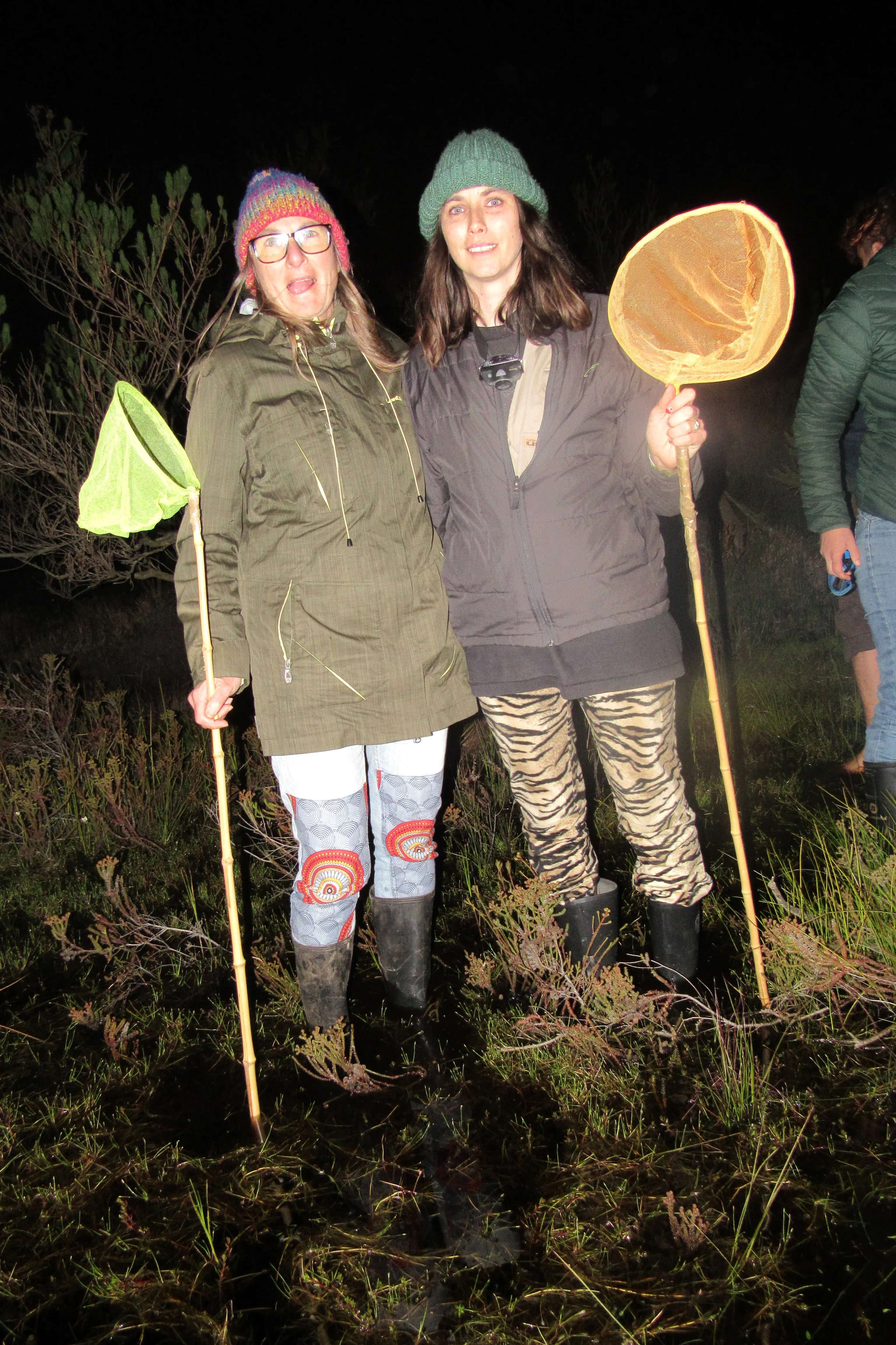 Frog Flair at Kenilworth Racecourse Conservation Area, photo 17