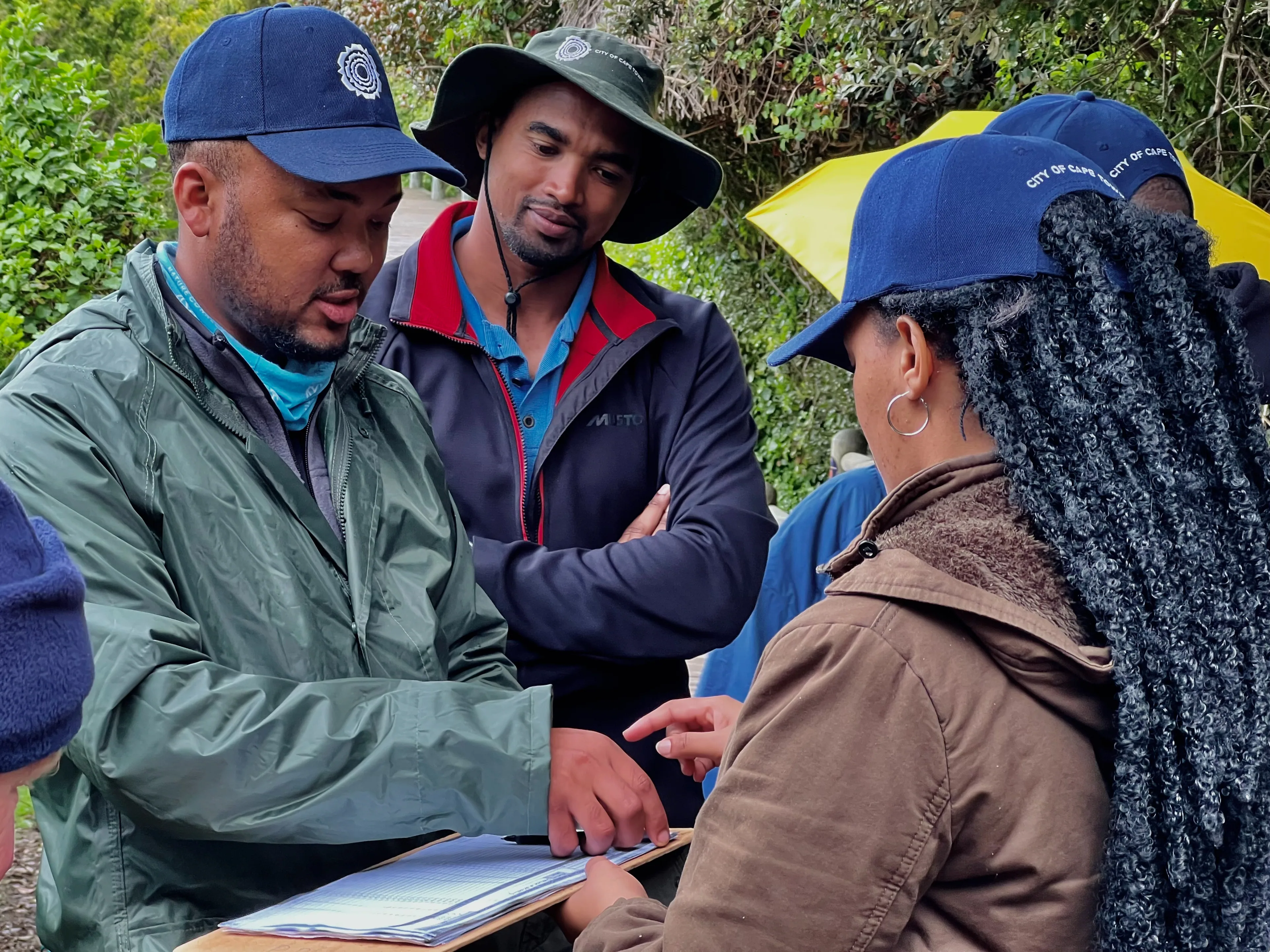 African Penguin Awareness Day: Celebrating African Penguins and Their Rangers, photo 3