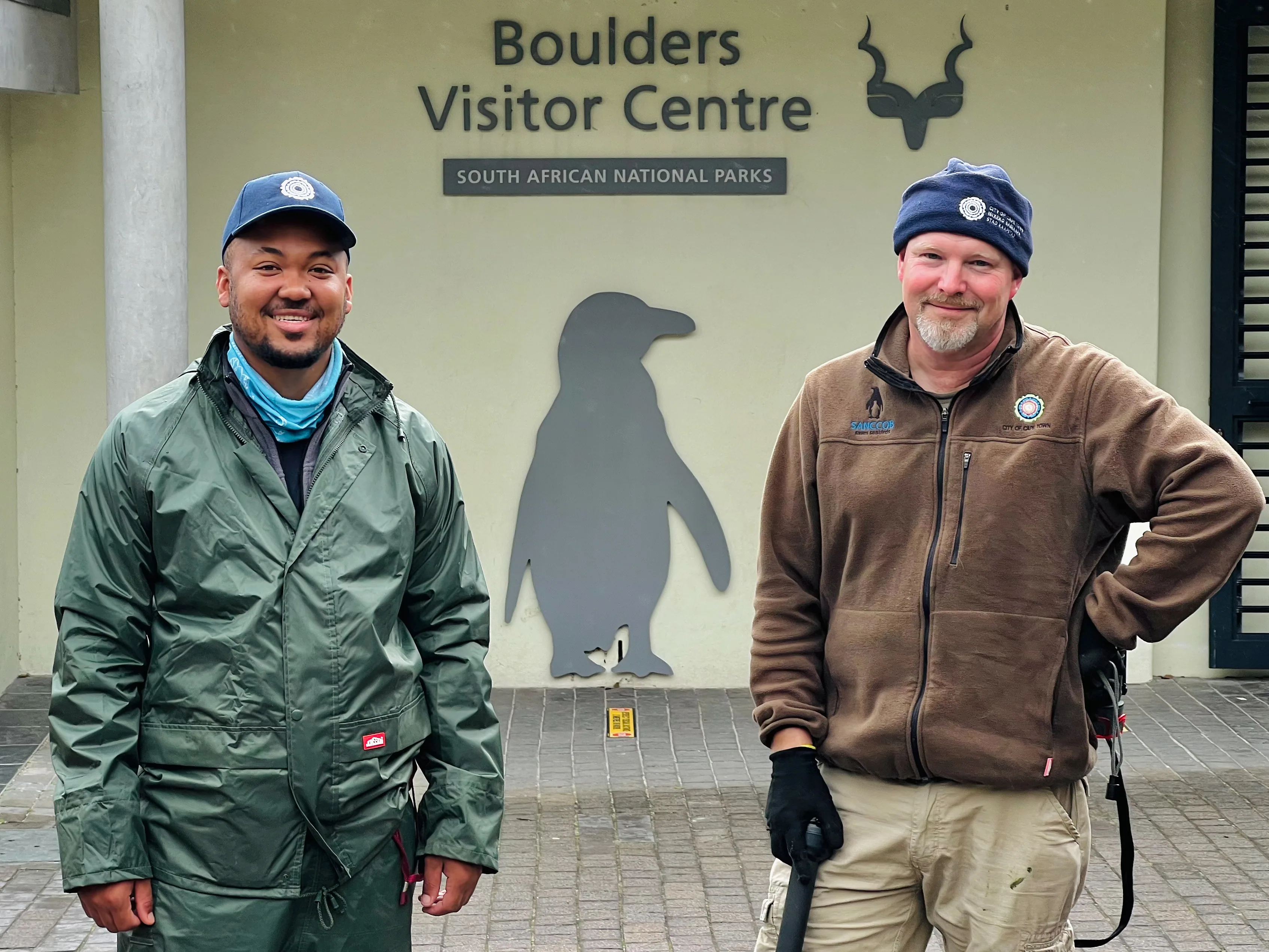 African Penguin Awareness Day: Celebrating African Penguins and Their Rangers, photo 7