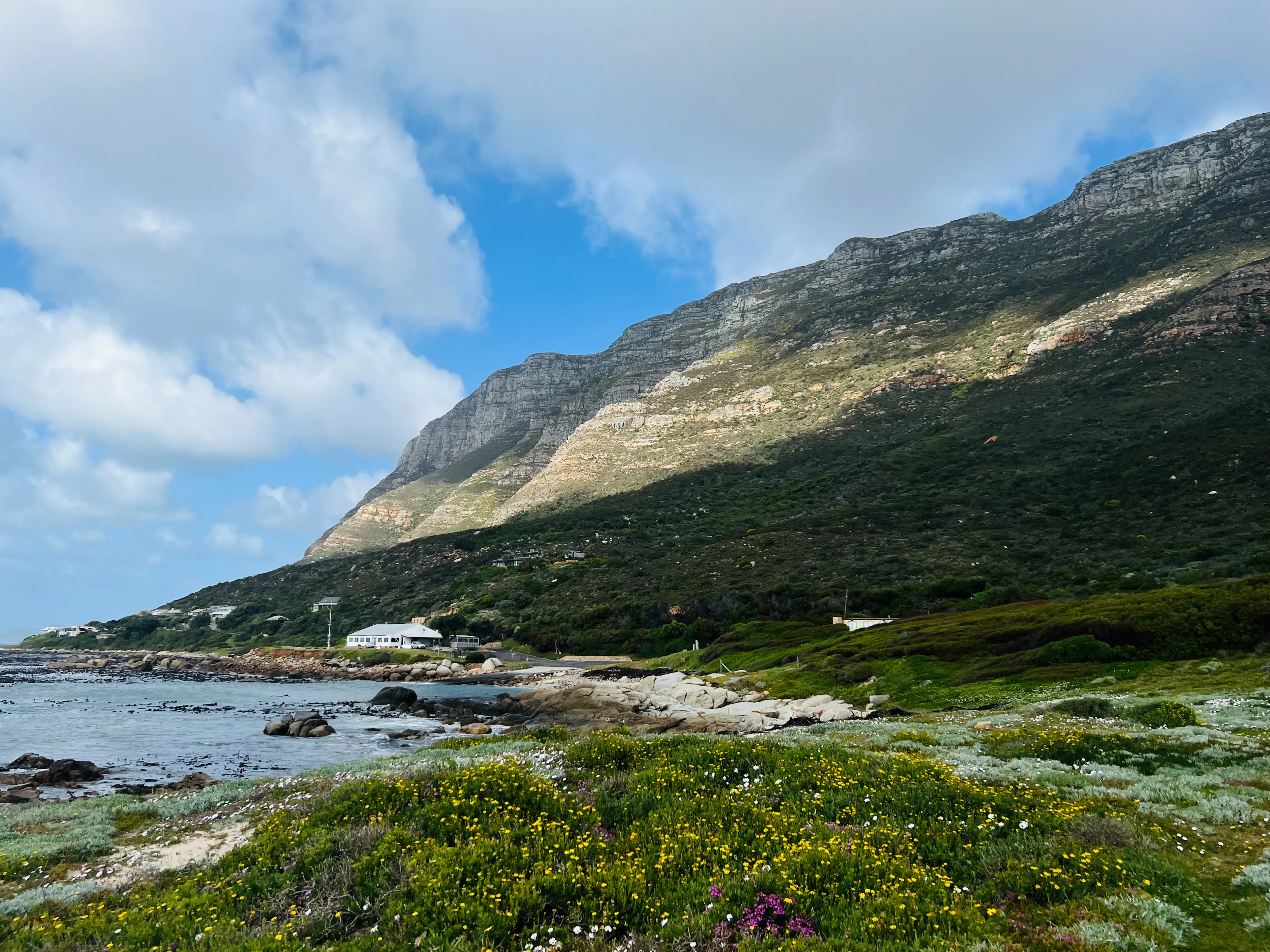 African Penguin Awareness Day: Celebrating African Penguins and Their Rangers, photo 20