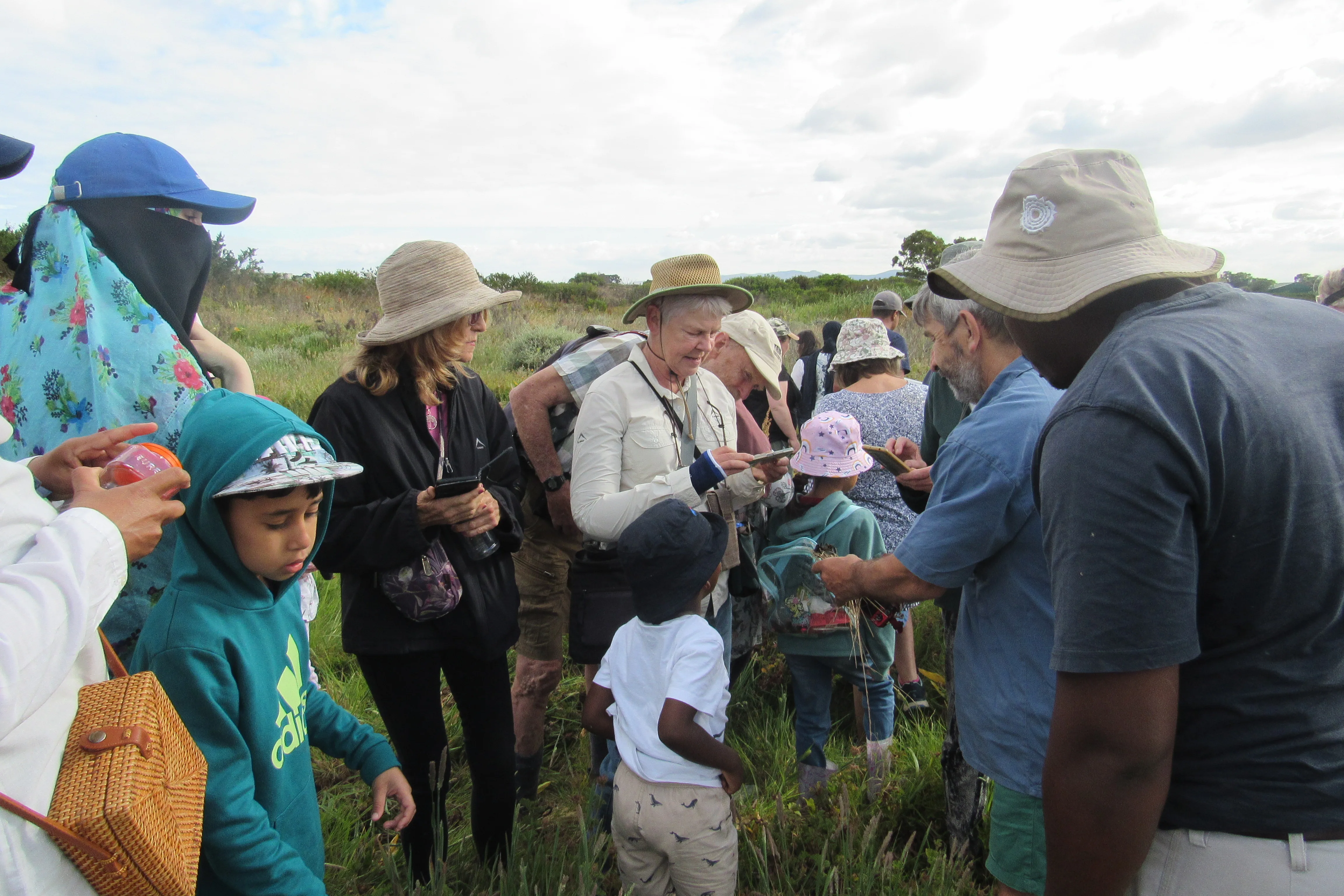 Exploring the Fascinating World of Reptiles and Arachnids at Kenilworth Racecourse Conservation Area, photo 18