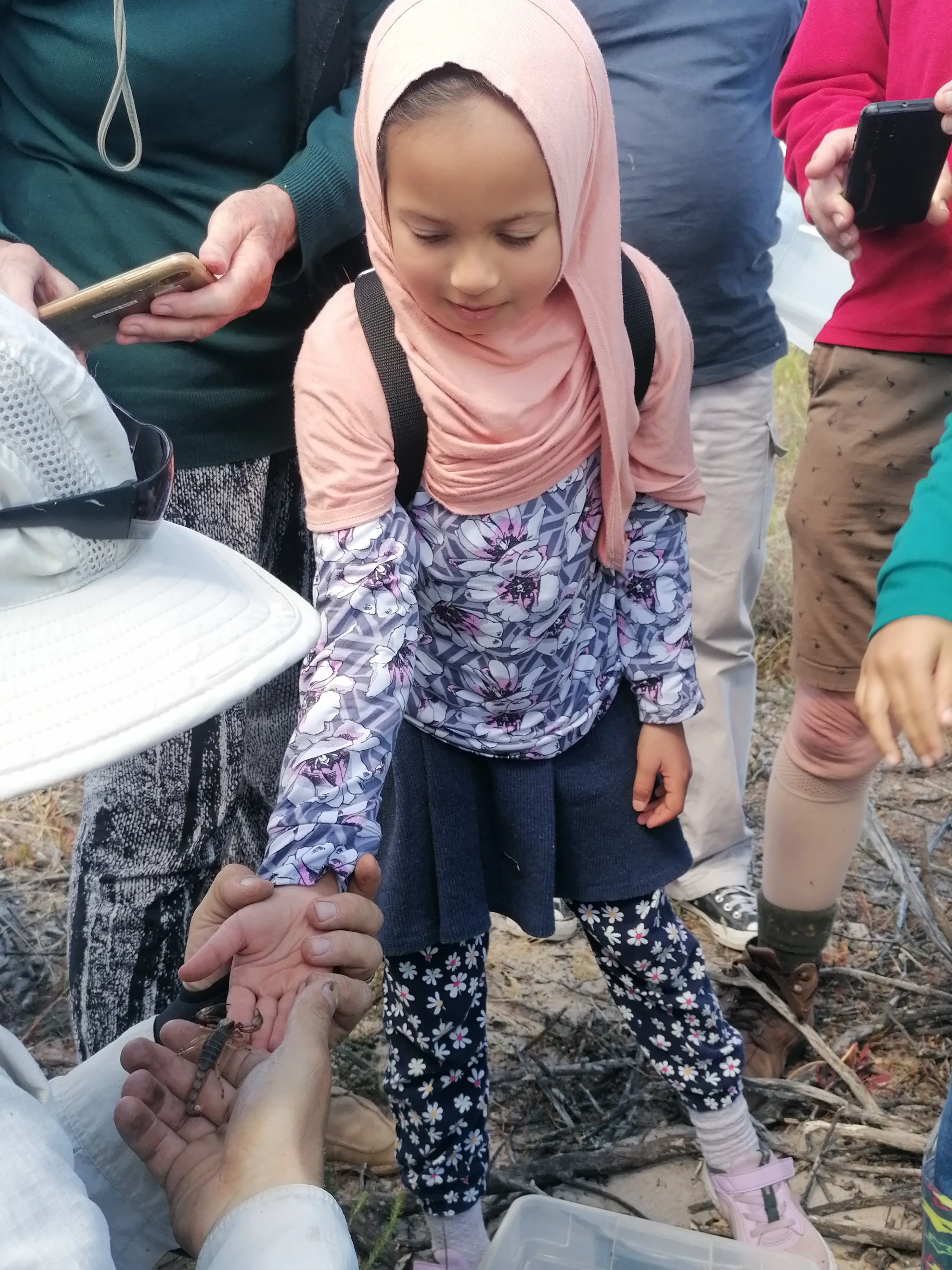 Exploring the Fascinating World of Reptiles and Arachnids at Kenilworth Racecourse Conservation Area, photo 9