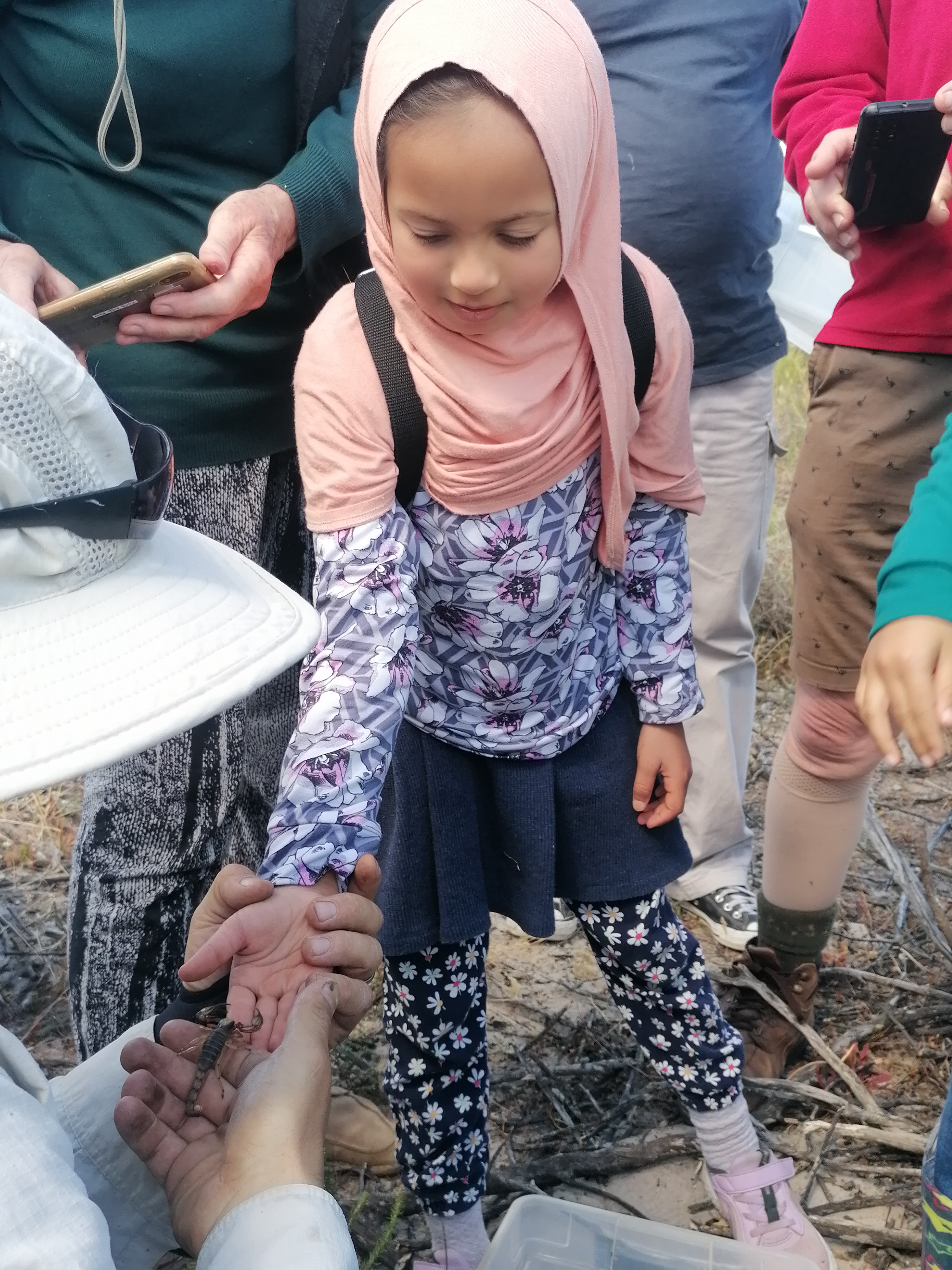 Exploring the Fascinating World of Reptiles and Arachnids at Kenilworth Racecourse Conservation Area, photo 9