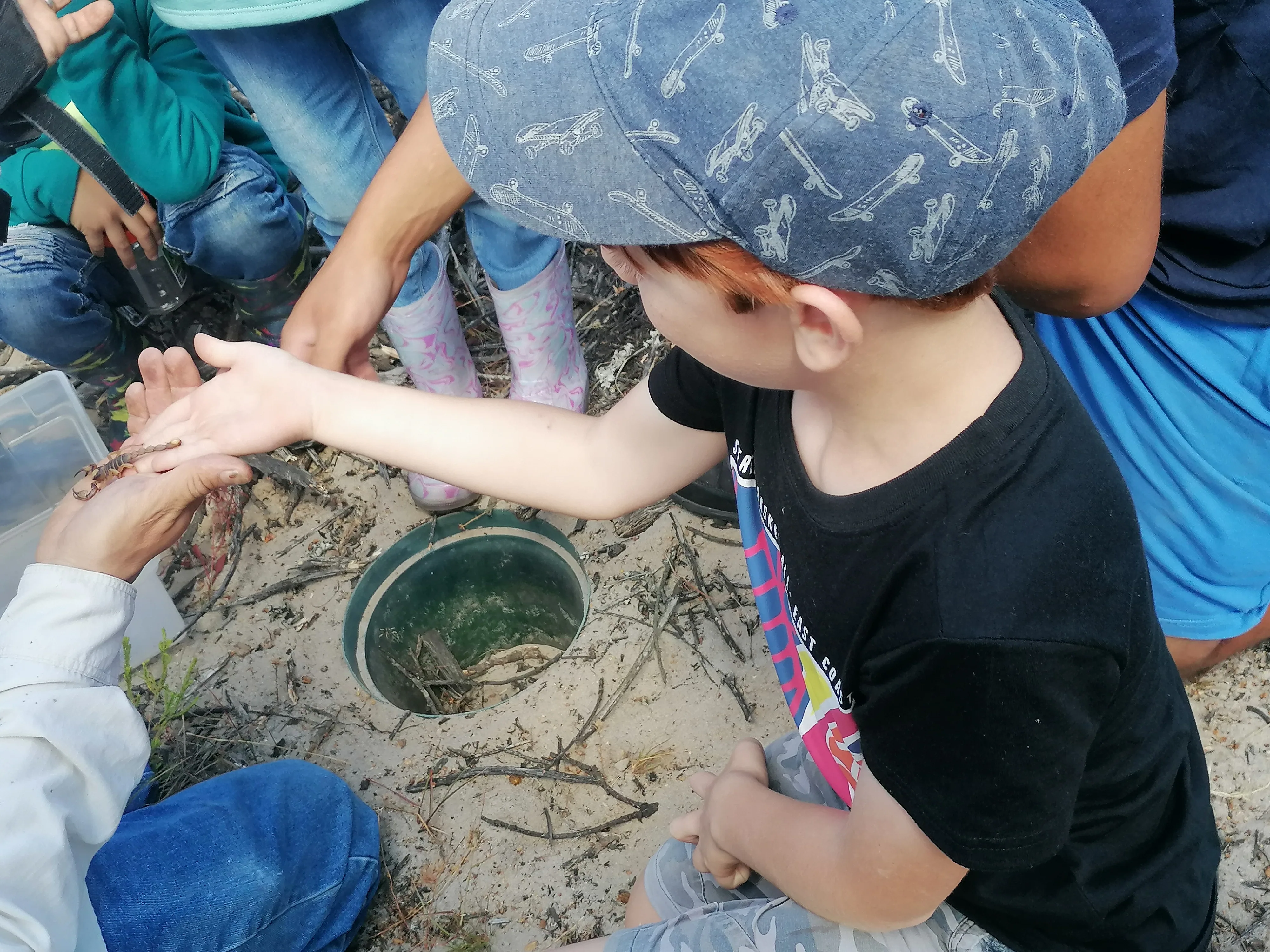 Exploring the Fascinating World of Reptiles and Arachnids at Kenilworth Racecourse Conservation Area, photo 10