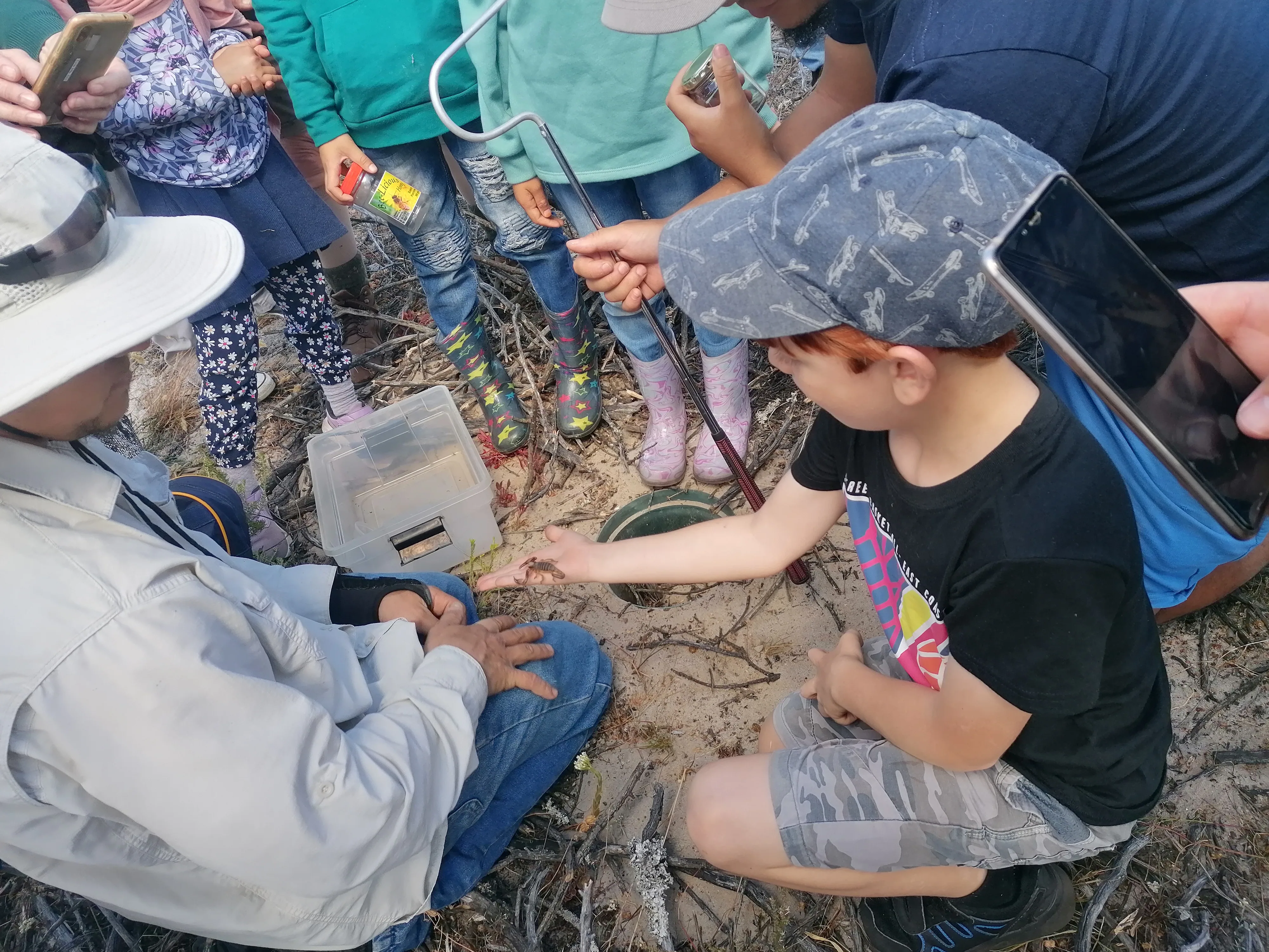 Exploring the Fascinating World of Reptiles and Arachnids at Kenilworth Racecourse Conservation Area, photo 11