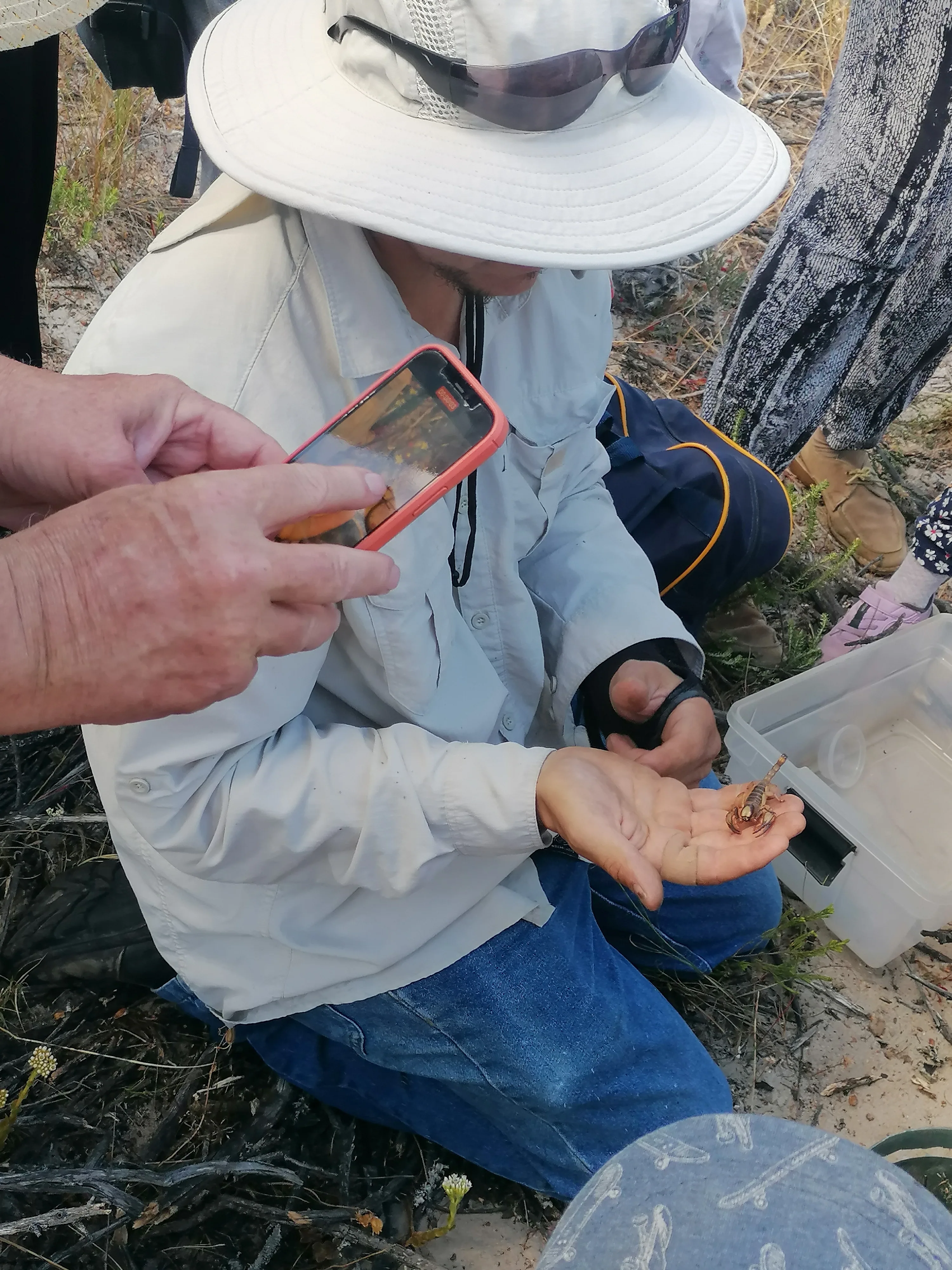 Exploring the Fascinating World of Reptiles and Arachnids at Kenilworth Racecourse Conservation Area, photo 3