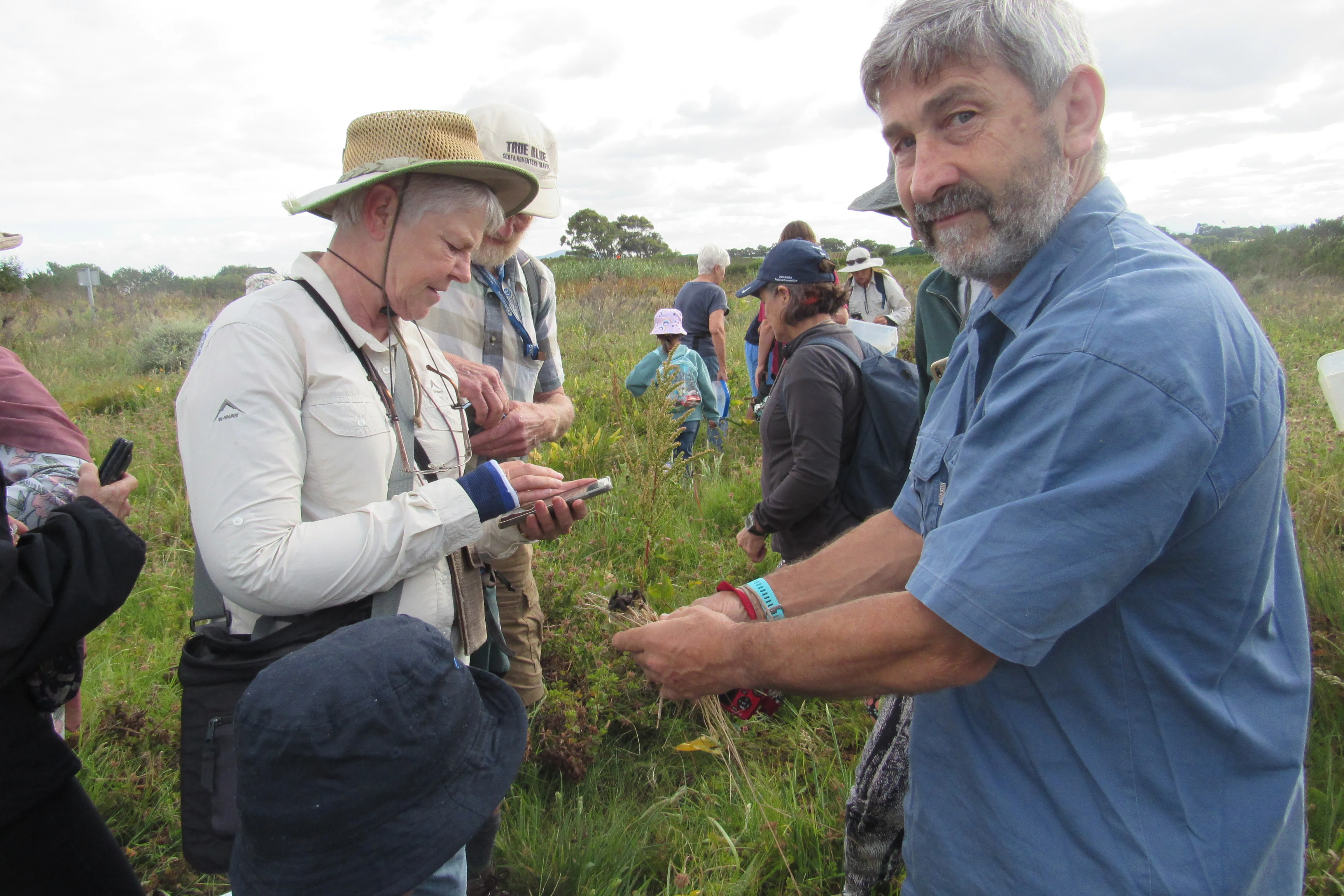 Exploring the Fascinating World of Reptiles and Arachnids at Kenilworth Racecourse Conservation Area, photo 17