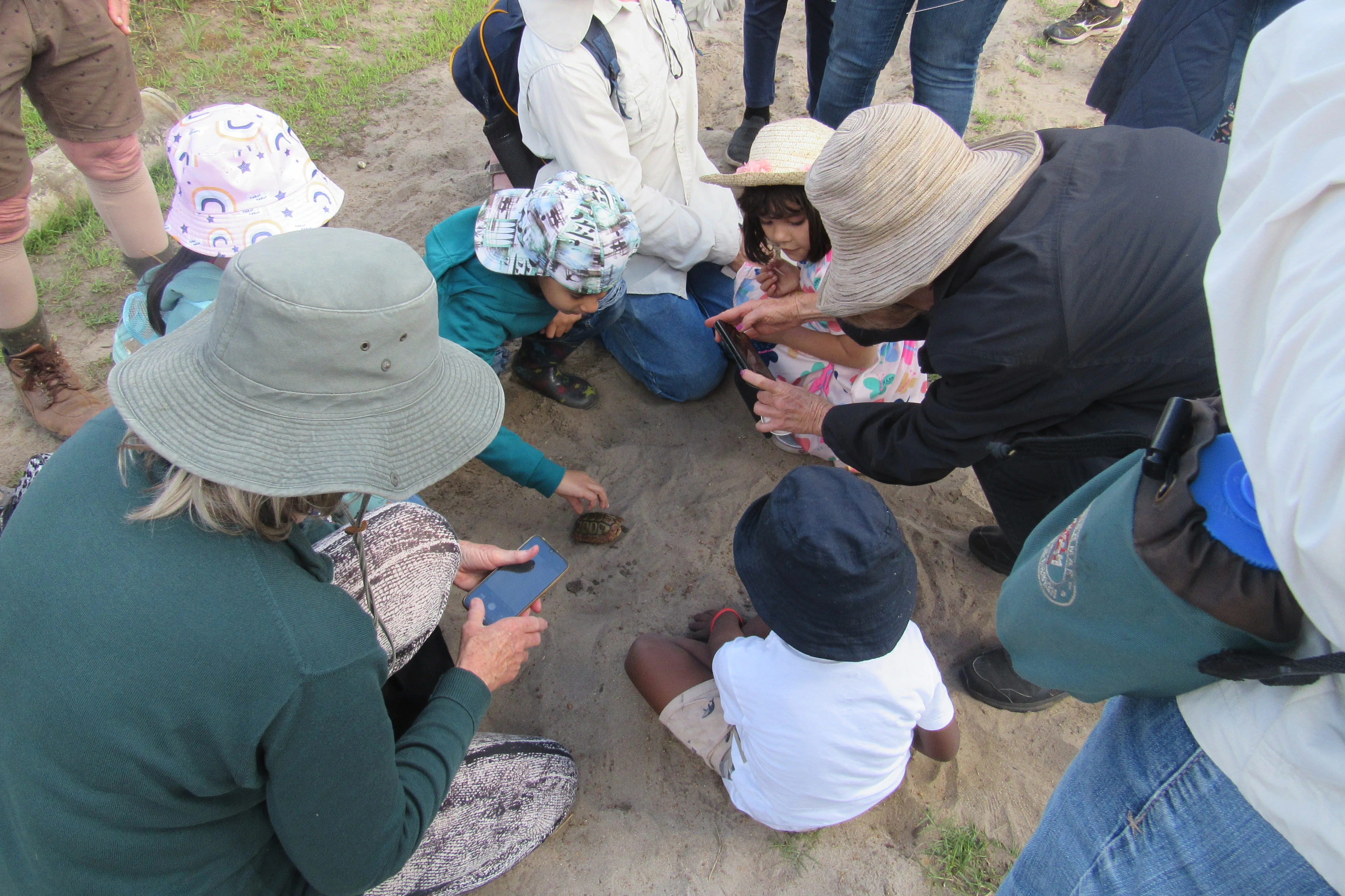 Exploring the Fascinating World of Reptiles and Arachnids at Kenilworth Racecourse Conservation Area, photo 13