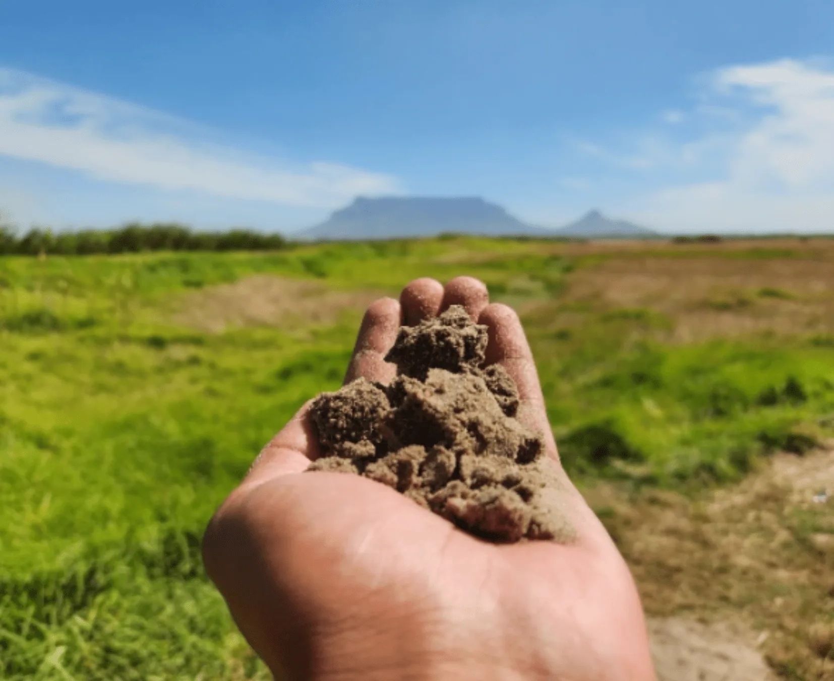 Celebrating World Soil Day