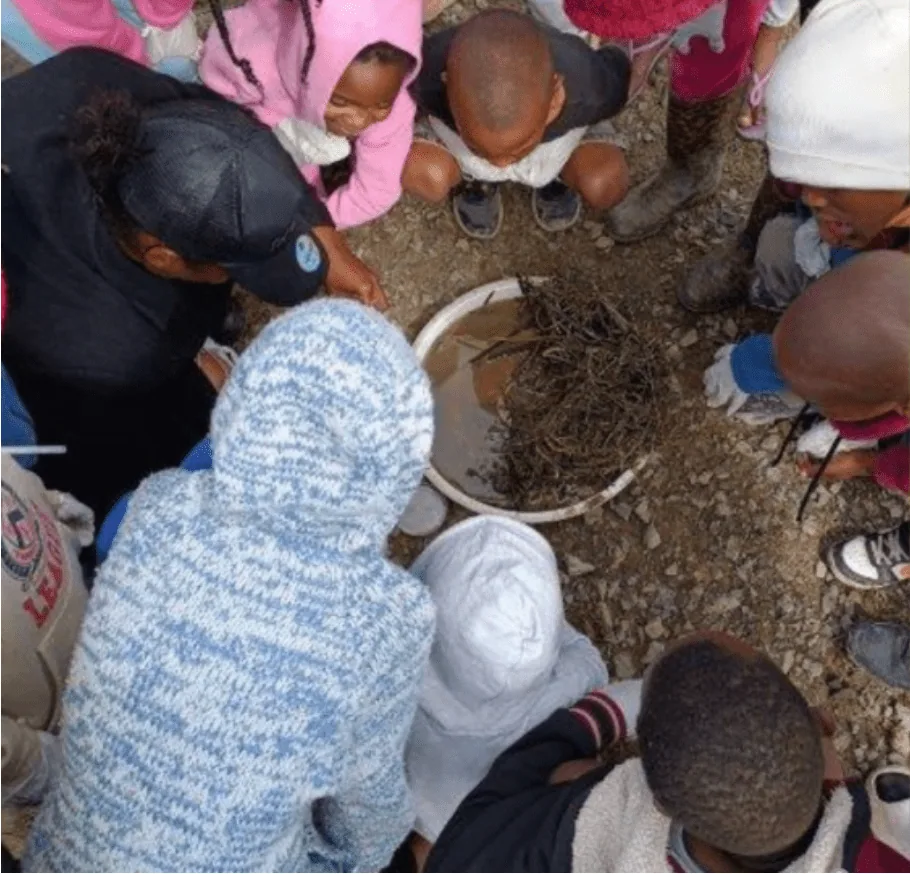Congratulations to our successful Table Mountain Fund small grant recipients for 2024, photo 3