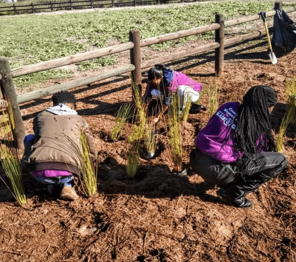 Congratulations to our successful Table Mountain Fund small grant recipients for 2024, photo 1