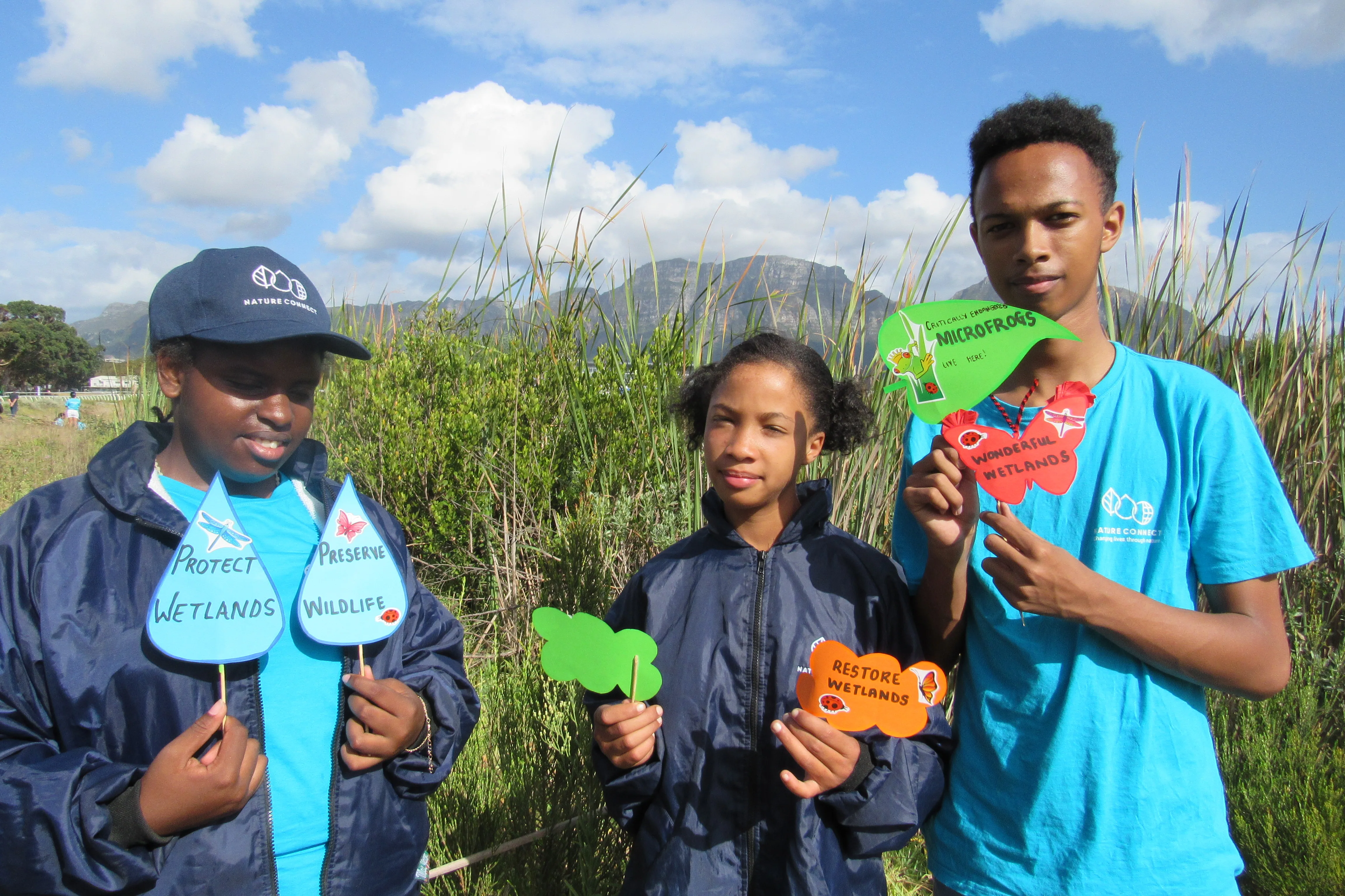 Revitalising Kenilworth Racecourse Conservation Area’s Wetlands: A Lifeline for the Critically Endangered Micro Frog, photo 8