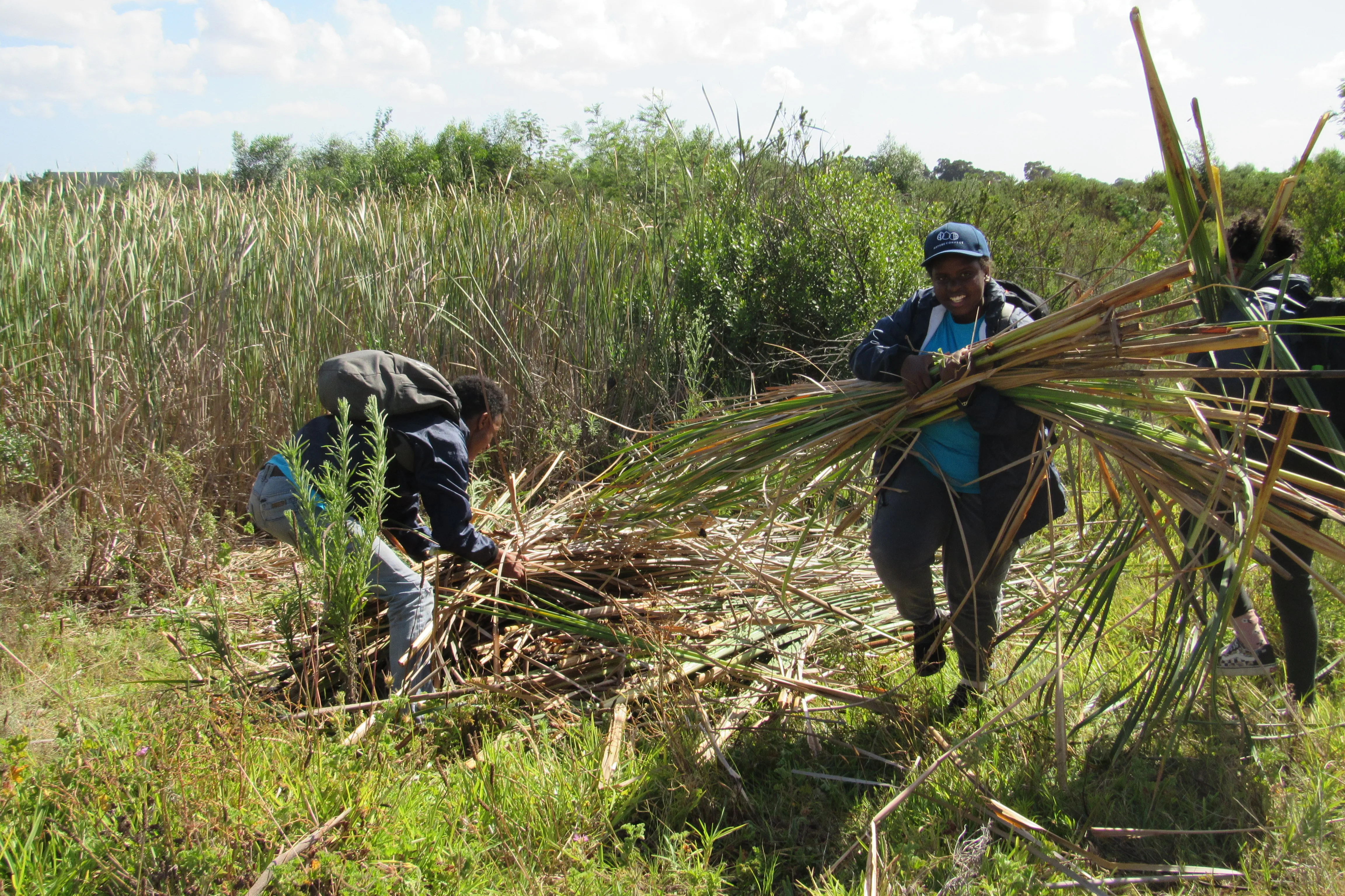 Revitalising Kenilworth Racecourse Conservation Area’s Wetlands: A Lifeline for the Critically Endangered Micro Frog, photo 10