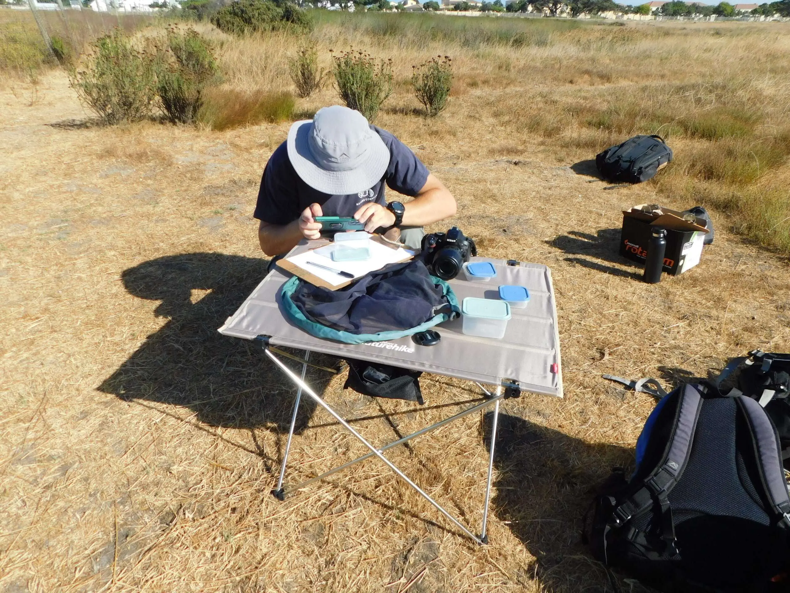 Exploring the Incredible Diversity and Critical Roles of Insects in the Milnerton Race Course Conservation Area