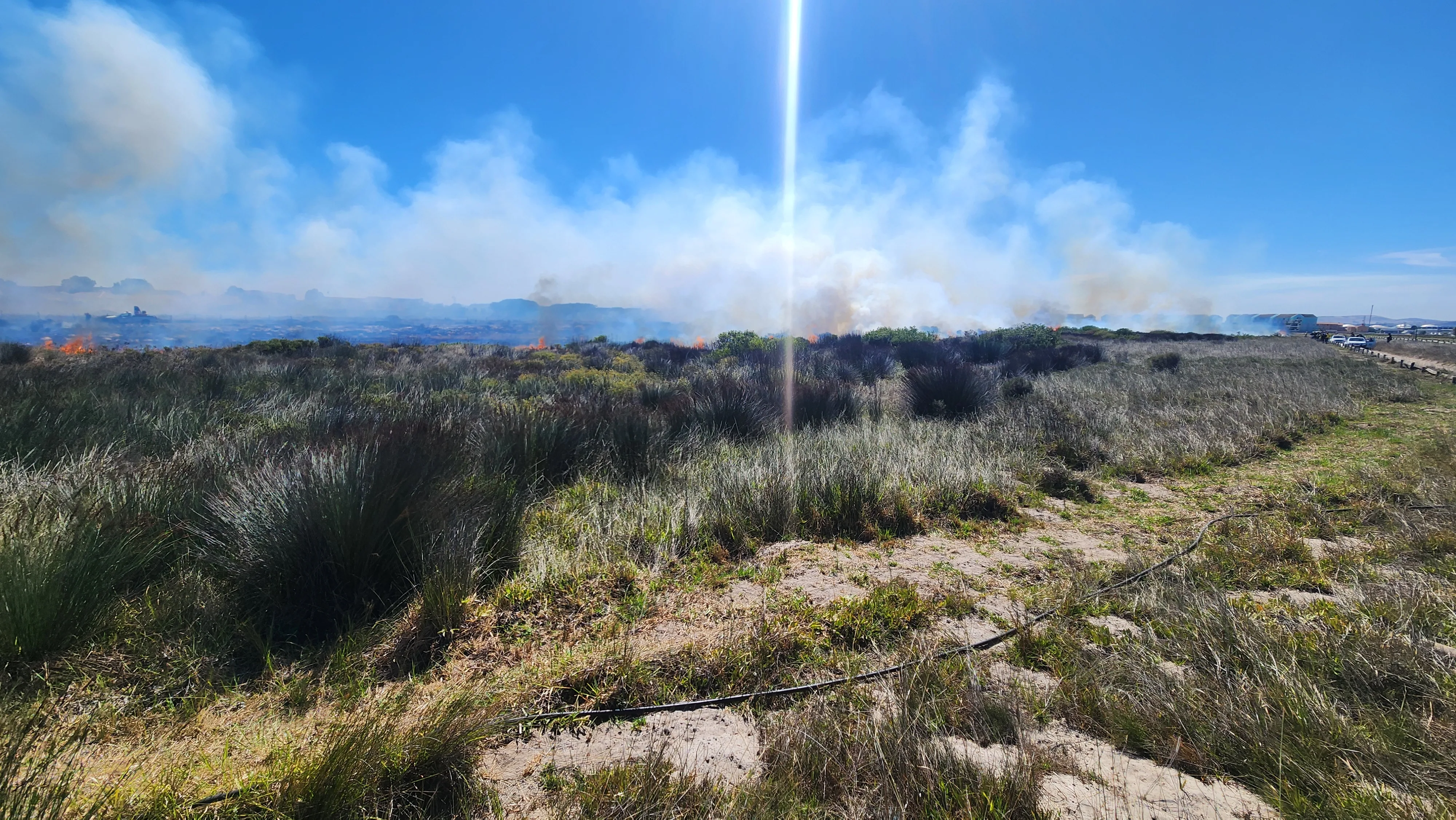 Ecological Burn at Milnerton Racecourse a Section of Table Bay Nature Reserve, photo 3