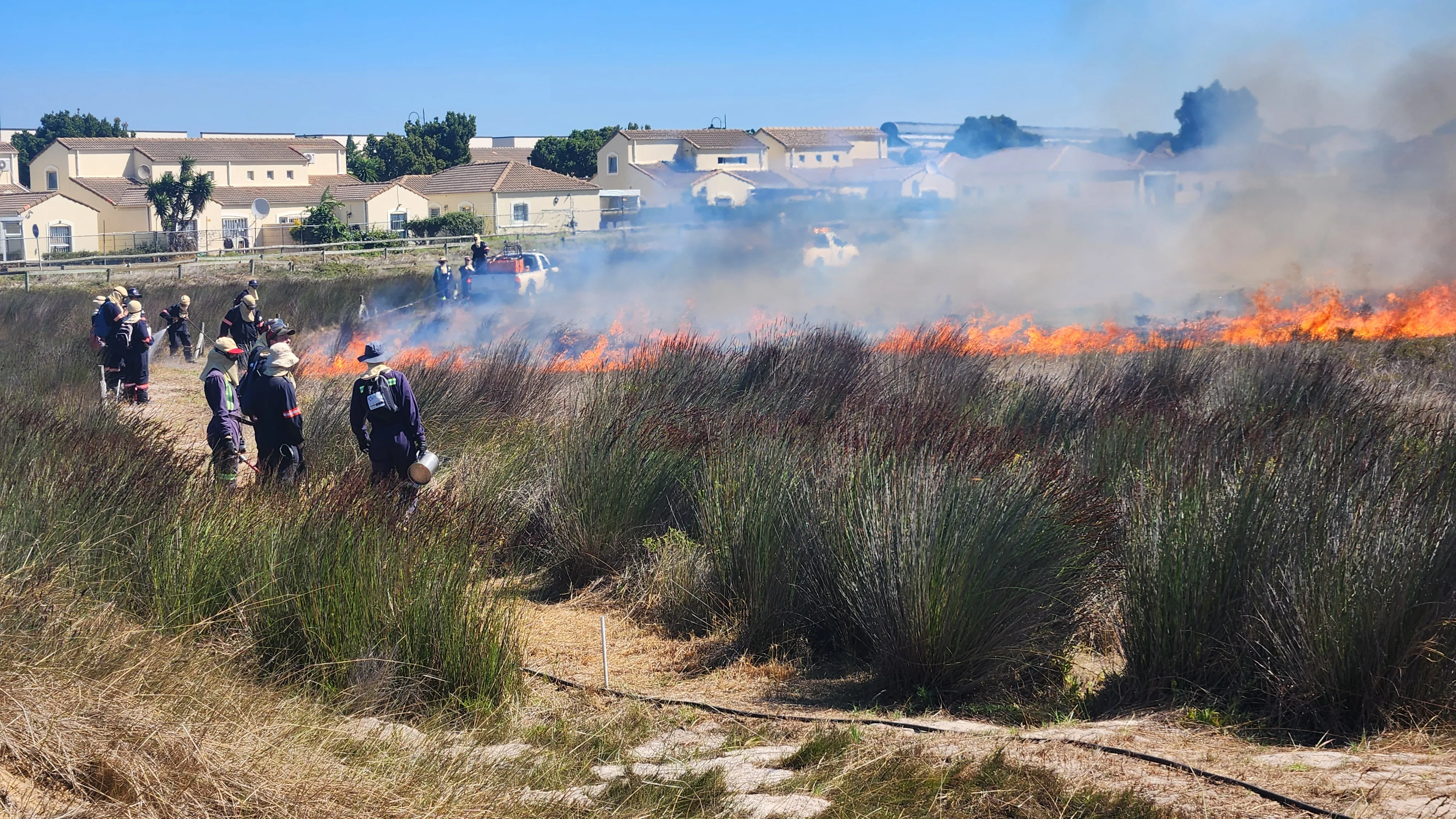 Ecological Burn at Milnerton Racecourse a Section of Table Bay Nature Reserve, photo 1