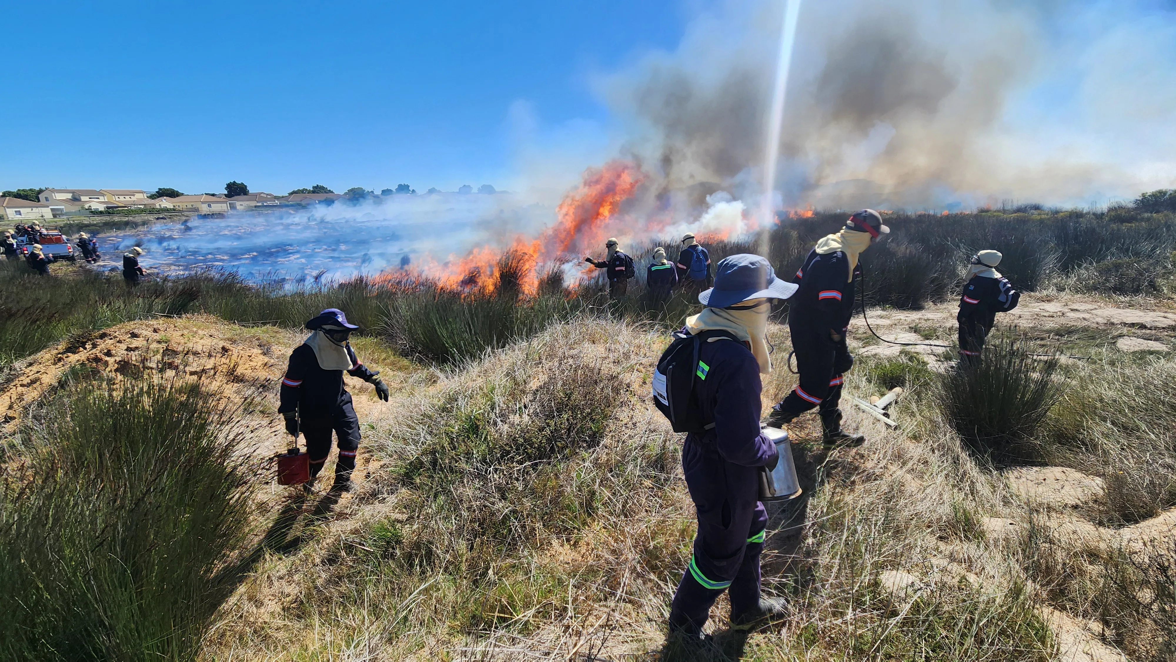 Ecological Burn at Milnerton Racecourse a Section of Table Bay Nature Reserve, photo 2