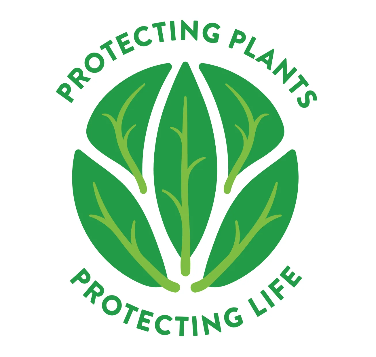 Guarding Green Giants: Celebrating International Day of Plant Health, photo 1