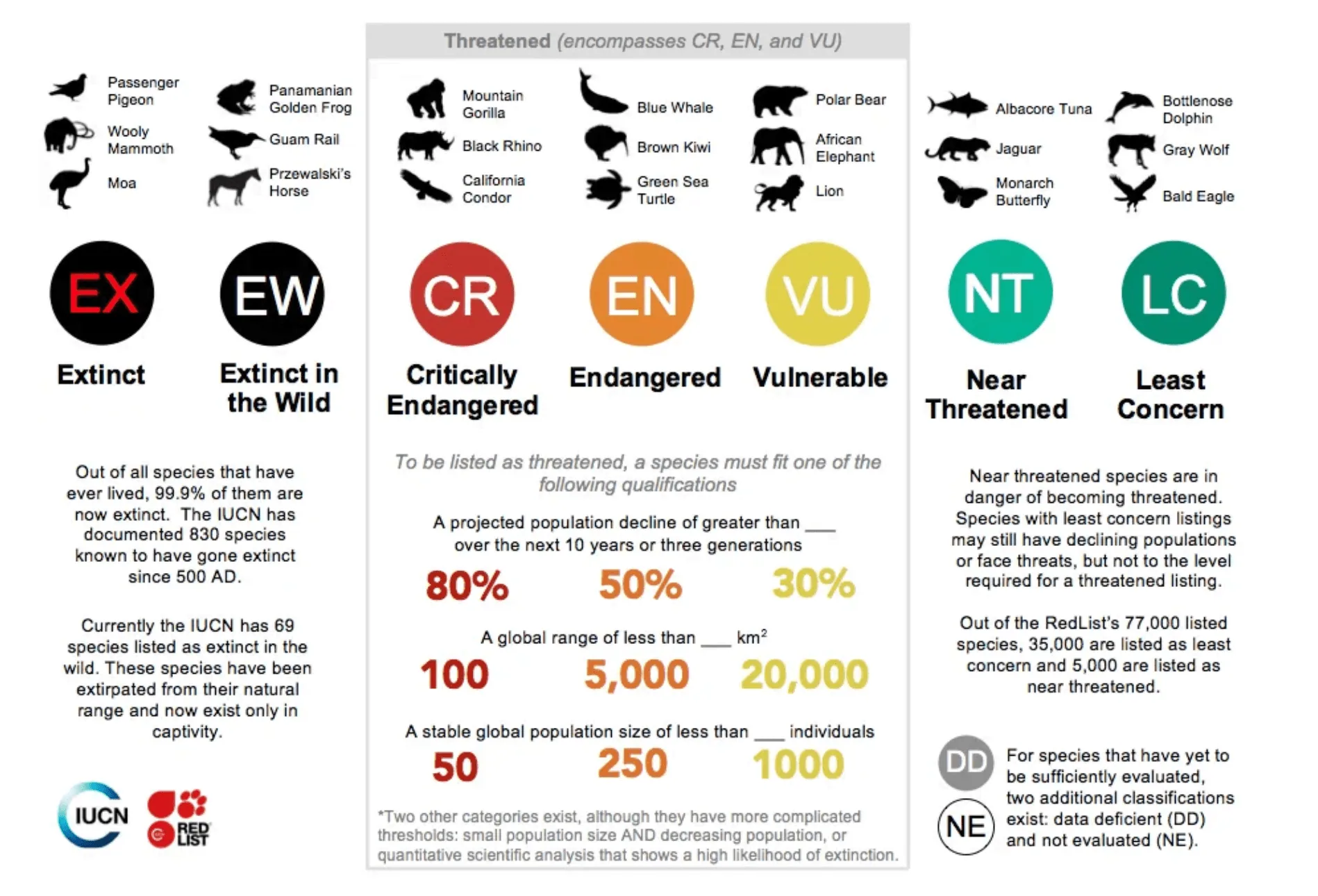 Celebrating South Africa’s Unique Wildlife on Endangered Species Day, photo 1