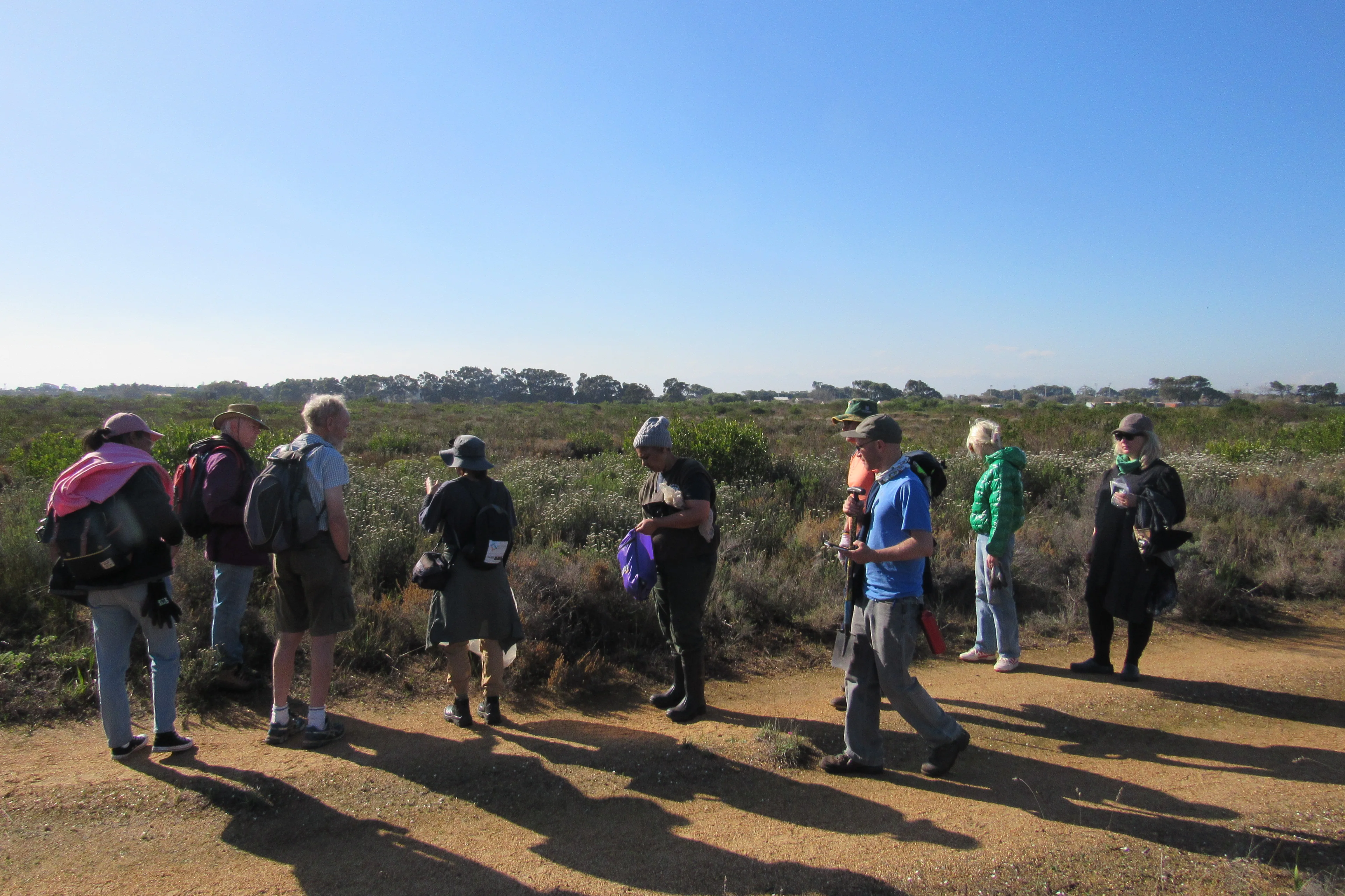 Make A Difference Week: Ecological Restoration of Cape Flats Sand Fynbos at Kenilworth Racecourse: A collaboration with the Society for Ecological Restoration Africa, photo 6