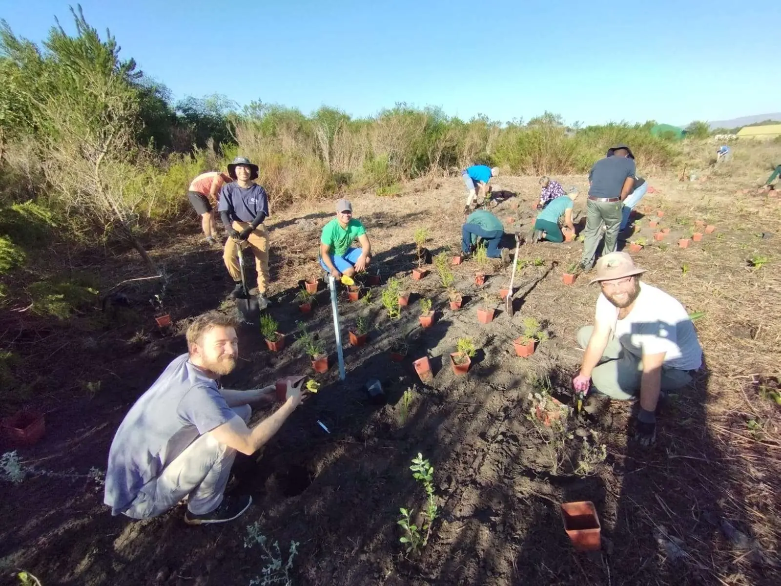 Make A Difference Week: Ecological Restoration of Cape Flats Sand Fynbos at Kenilworth Racecourse: A collaboration with the Society for Ecological Restoration Africa, photo 5